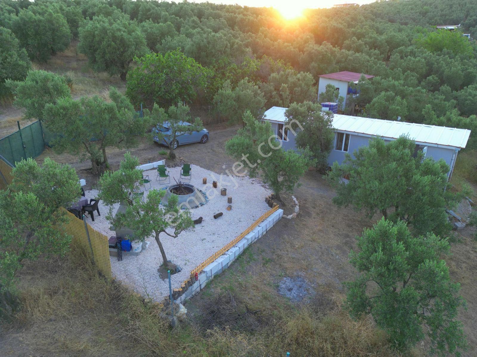 Remax Advantage Mirzaoba Köye 150m, 45m2 Bağ Evi Olan Zeytinlik - Görsel 14