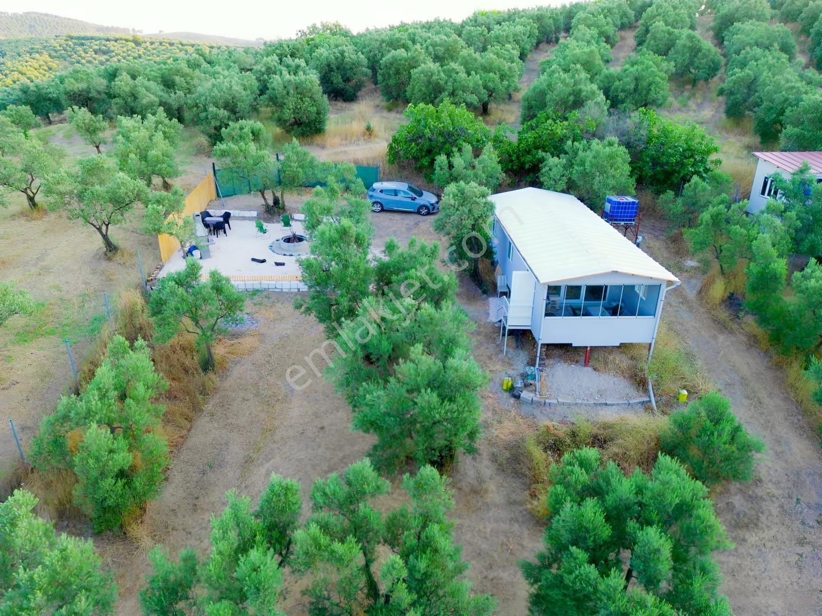 Remax Advantage Mirzaoba Köye 150m, 45m2 Bağ Evi Olan Zeytinlik