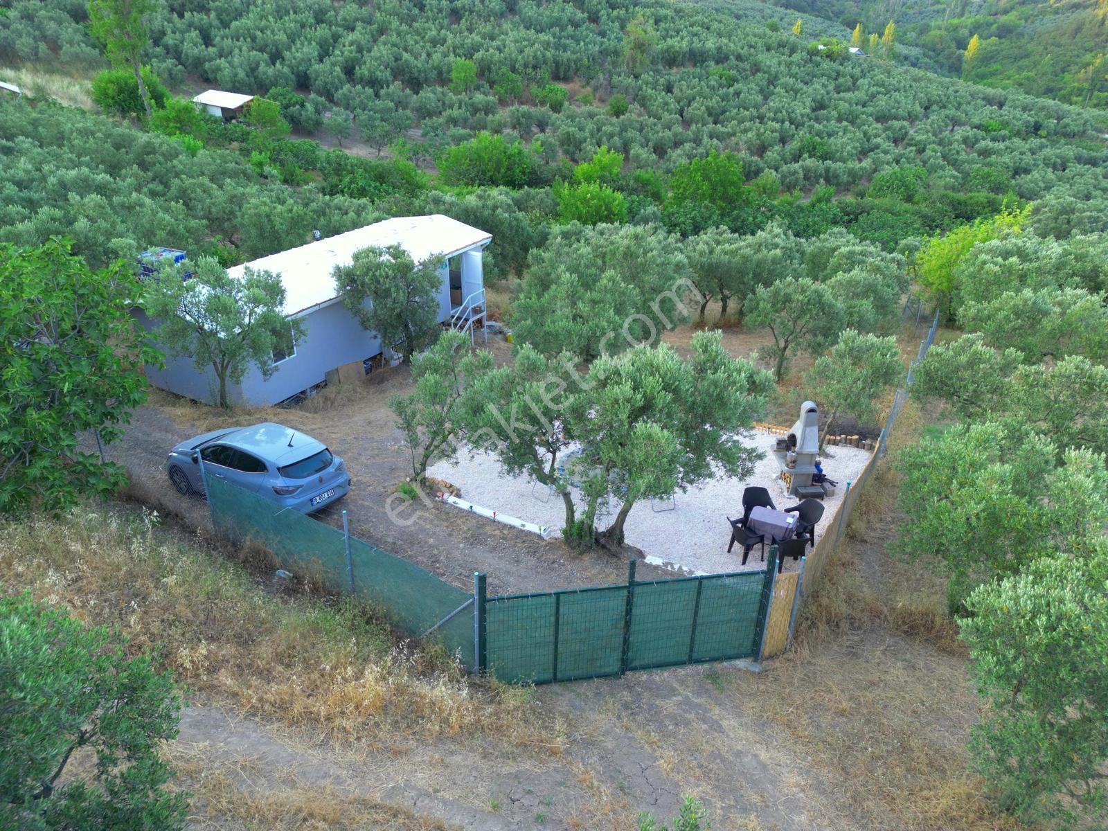 Remax Advantage Mirzaoba Köye 150m, 45m2 Bağ Evi Olan Zeytinlik - Görsel 18