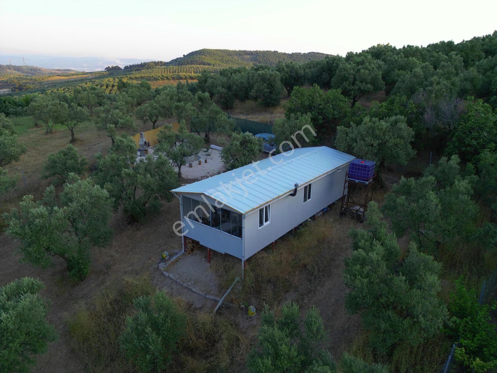 Remax Advantage Mirzaoba Köye 150m, 45m2 Bağ Evi Olan Zeytinlik - Görsel 20