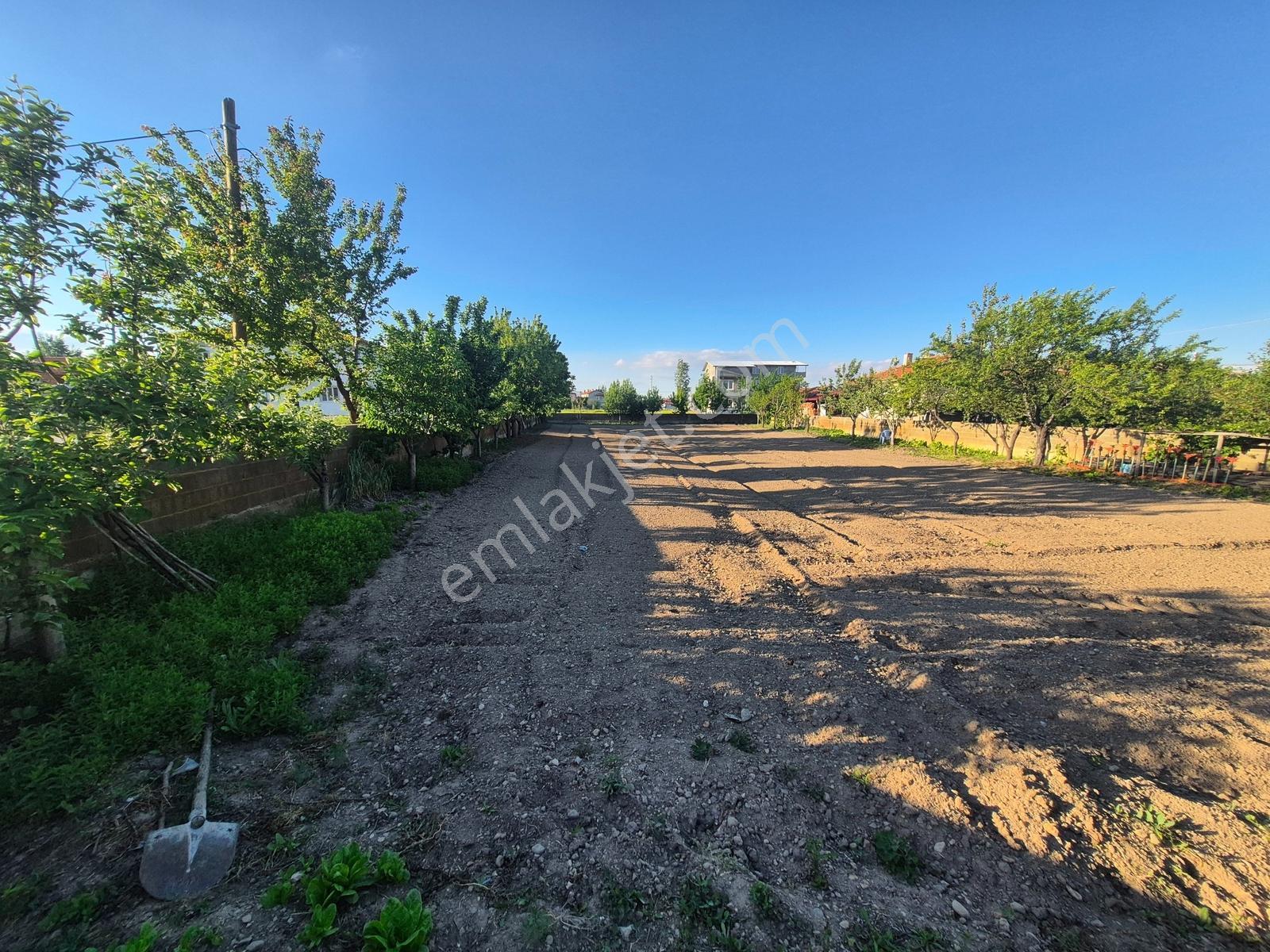 İlbey // Şuhut "zafer" Mah.de Satılık 609 M² Köşe Arsa - Görsel 8