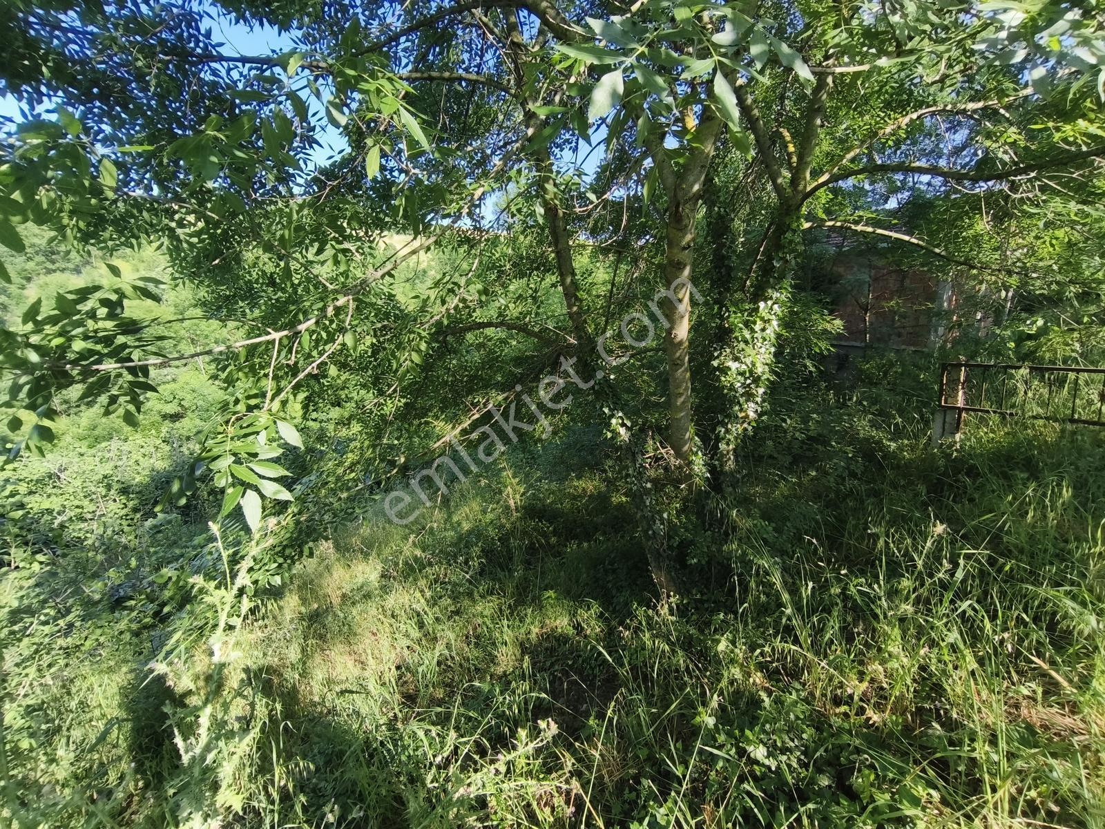 Truva/nazım Demirci'den Dereköy Taşkelik Satılık 478m2 Arsa - Görsel 19