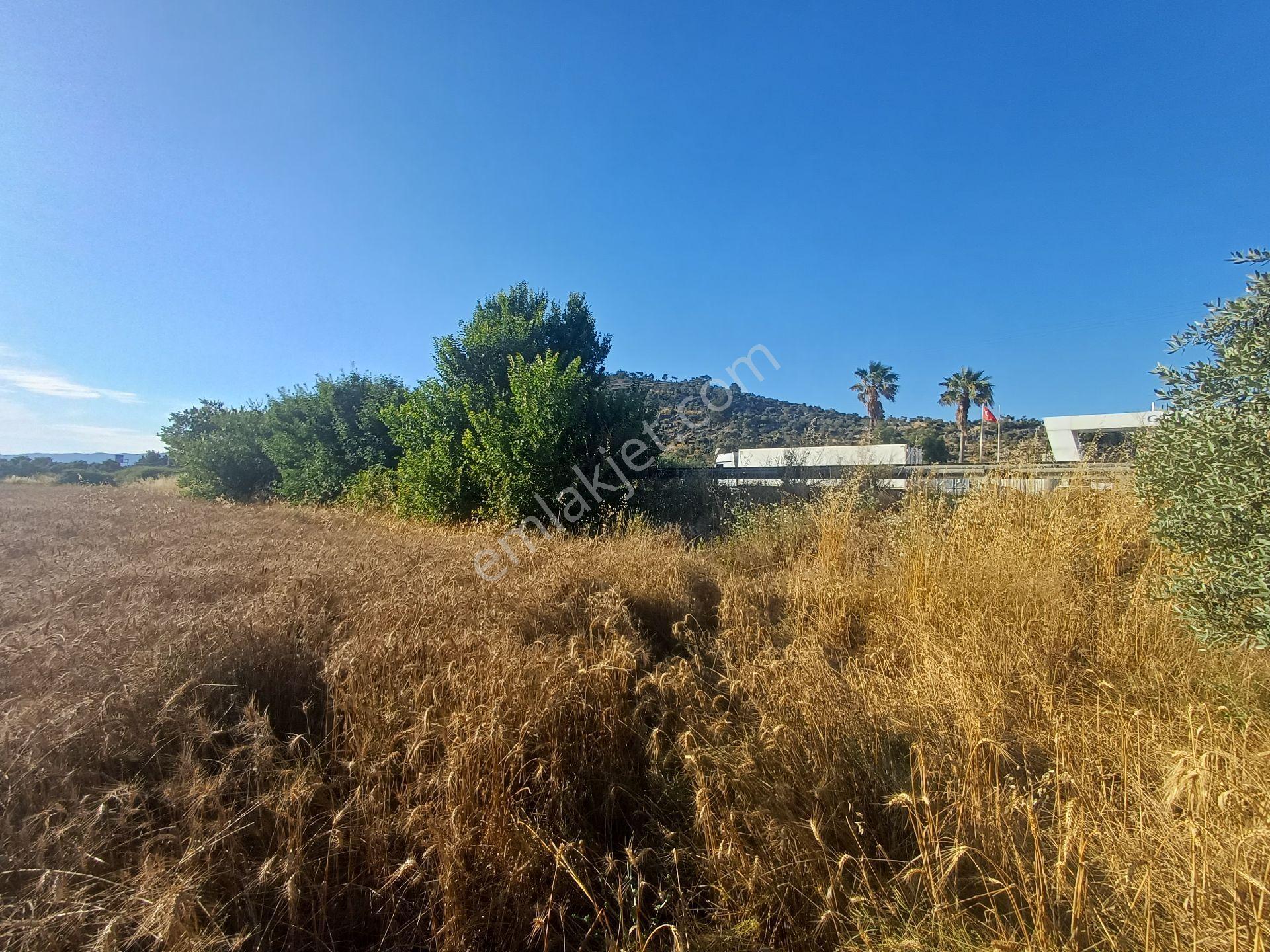 Milas/bodrum Yolu Üzerinde Satilik Tarla - Görsel 9