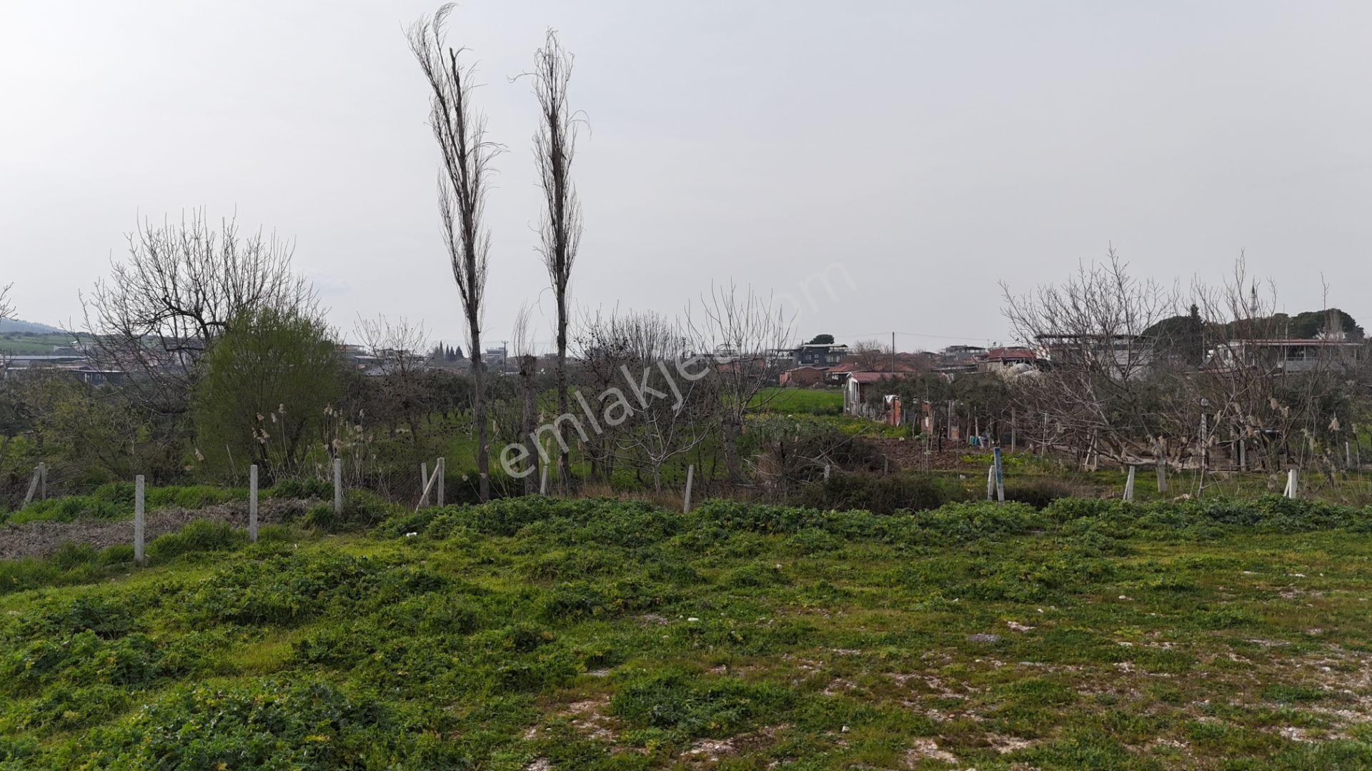 İzmir Menderes Oğlananasında 151m2 Tapu Köyiçi Taksimli Arsa - Görsel 34