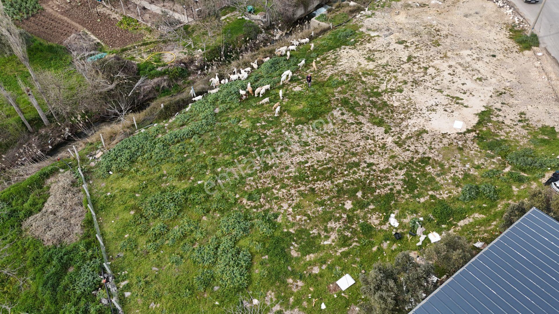 İzmir Menderes Oğlananasında 151m2 Tapu Köyiçi Taksimli Arsa - Görsel 32