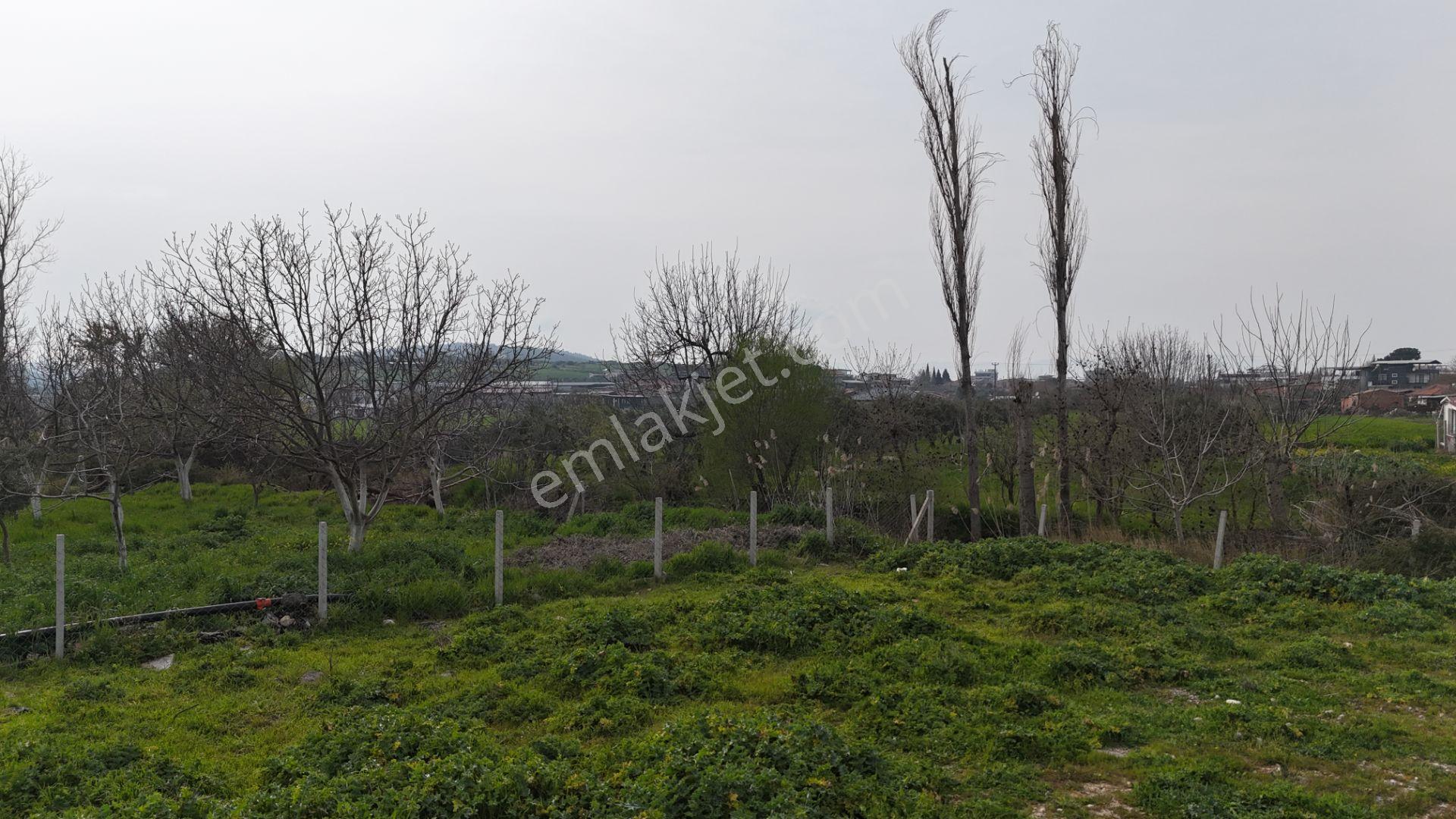 İzmir Menderes Oğlananasında 151m2 Tapu Köyiçi Taksimli Arsa - Görsel 19