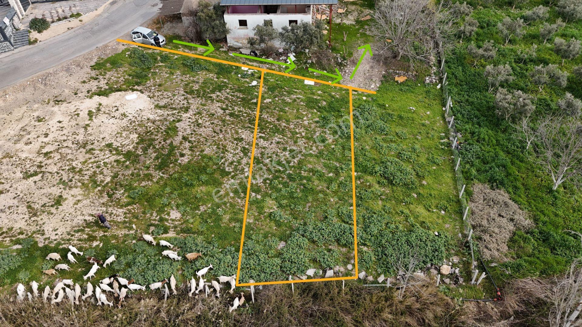 İzmir Menderes Oğlananasında 151m2 Tapu Köyiçi Taksimli Arsa