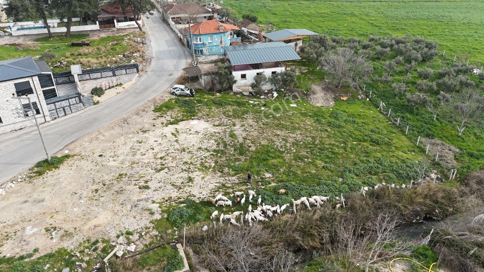 İzmir Menderes Oğlananasında 151m2 Tapu Köyiçi Taksimli Arsa - Görsel 18