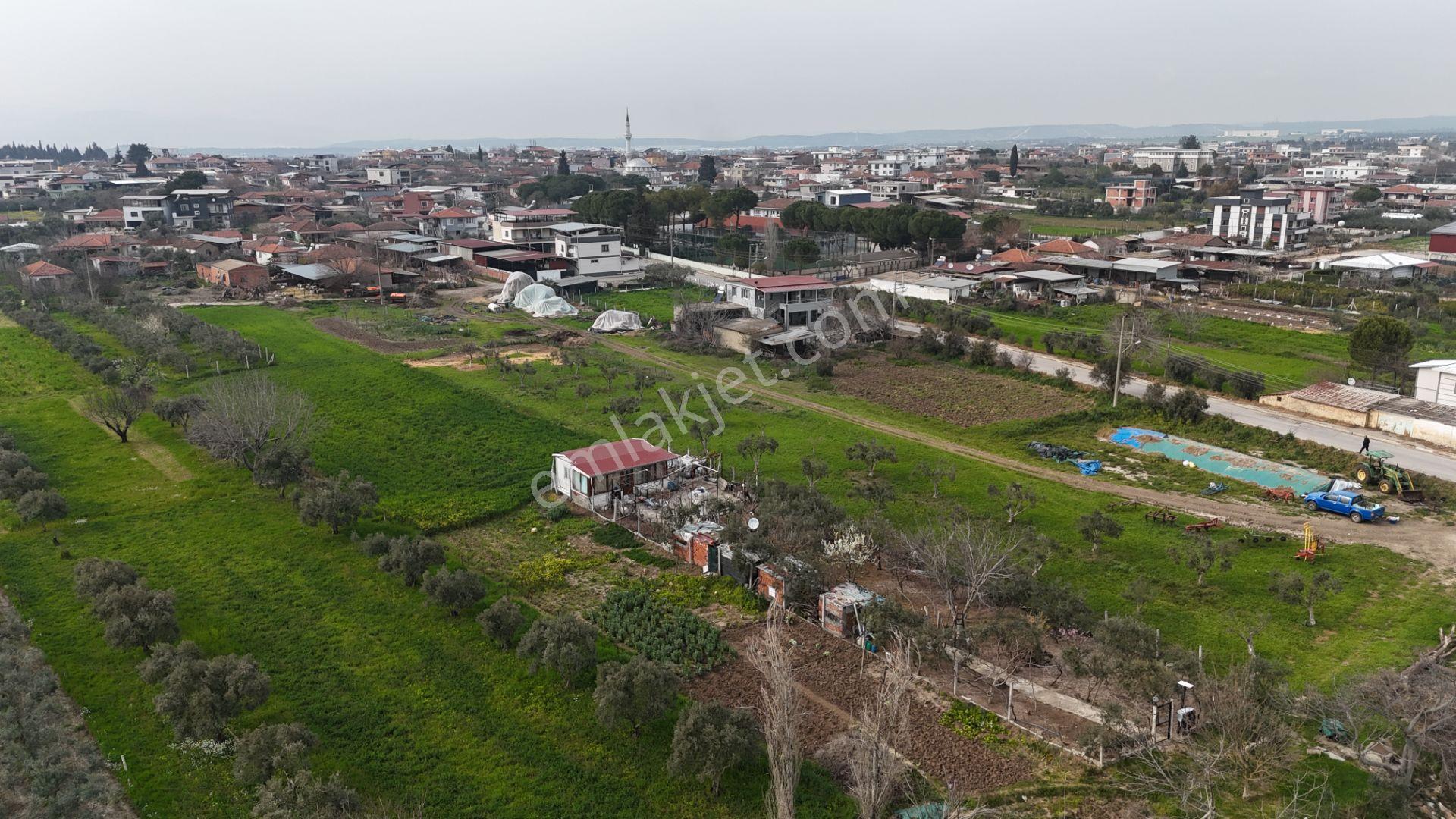 İzmir Menderes Oğlananasında 151m2 Tapu Köyiçi Taksimli Arsa - Görsel 3