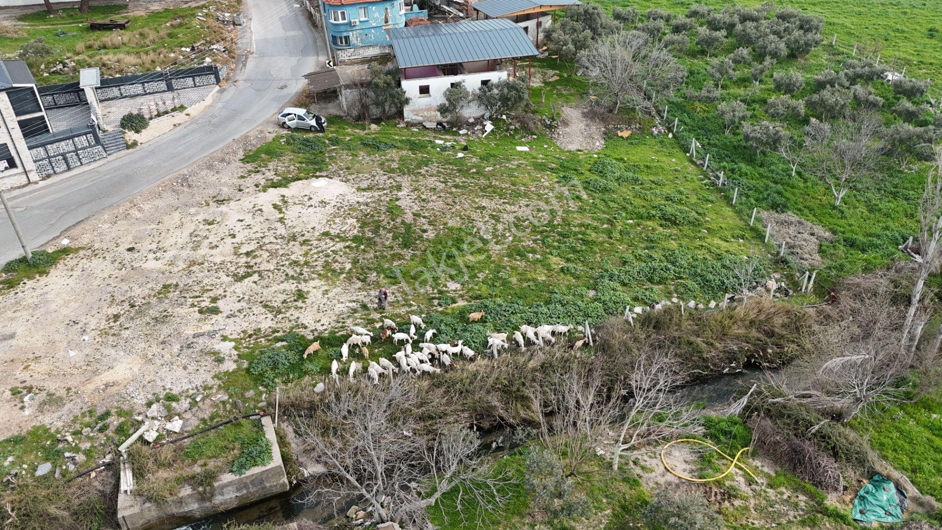 İzmir Menderes Oğlananasında 151m2 Tapu Köyiçi Taksimli Arsa - Görsel 27