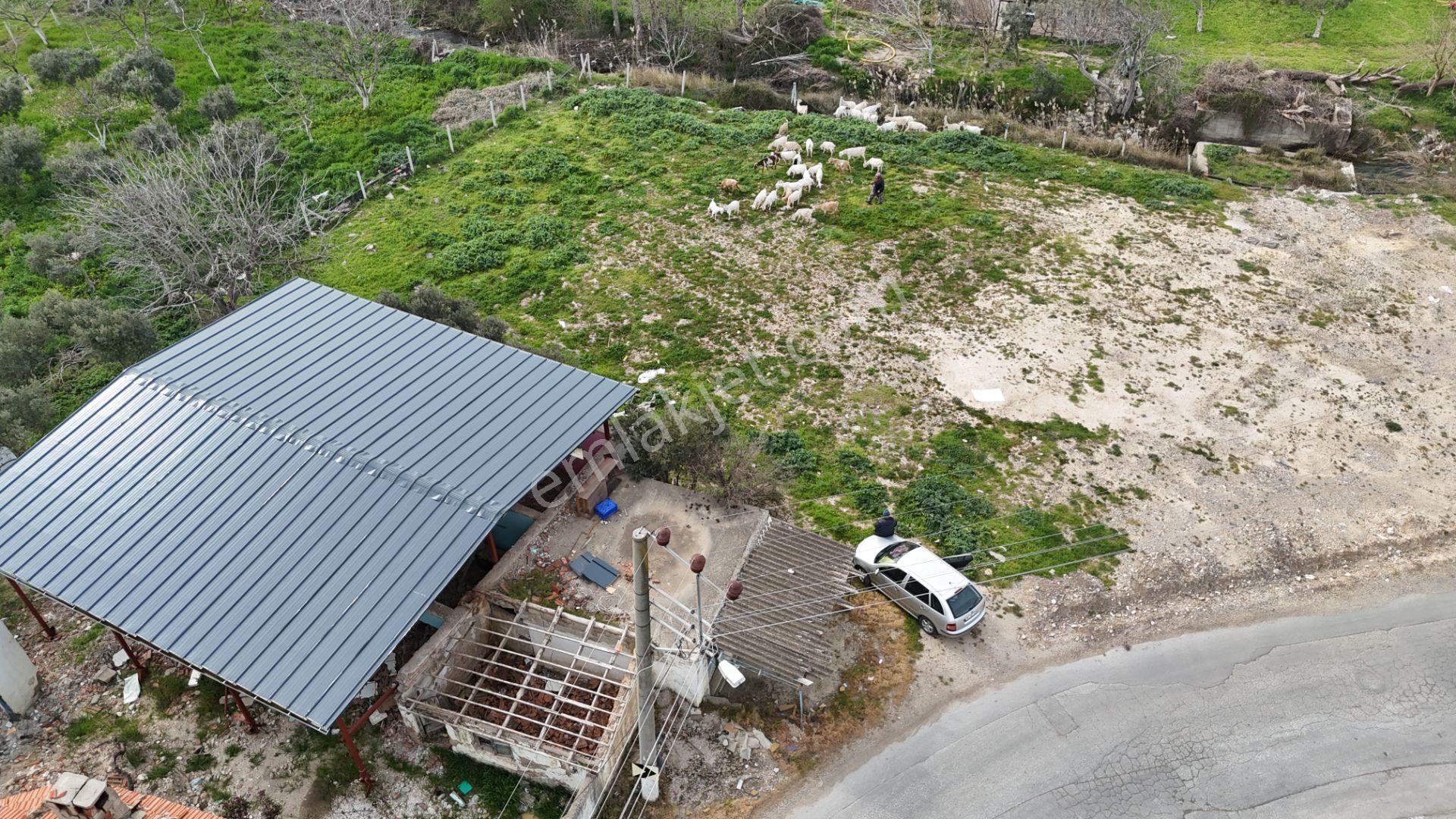 İzmir Menderes Oğlananasında 151m2 Tapu Köyiçi Taksimli Arsa - Görsel 35