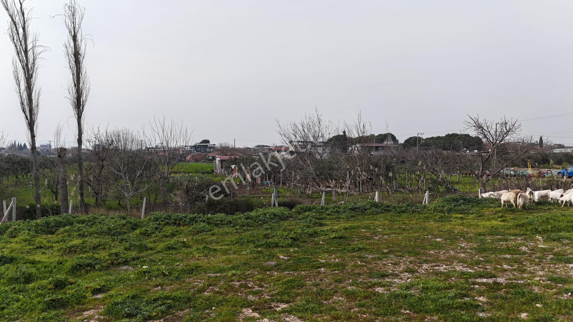 İzmir Menderes Oğlananasında 151m2 Tapu Köyiçi Taksimli Arsa - Görsel 33