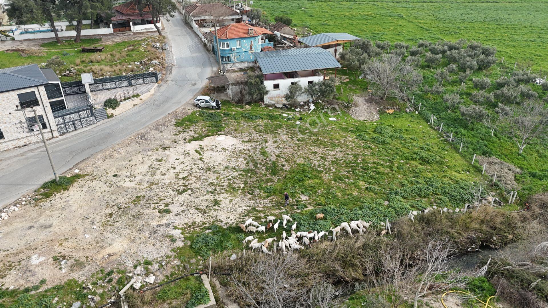 İzmir Menderes Oğlananasında 151m2 Tapu Köyiçi Taksimli Arsa - Görsel 31