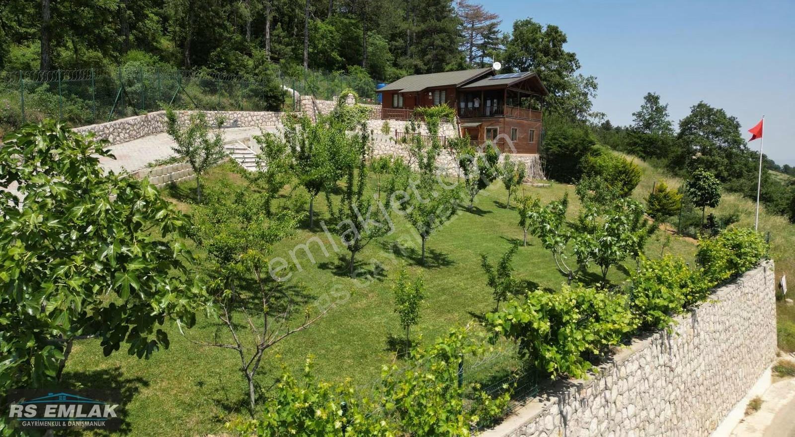 Dağyenice'de Eşsiz Proje: Göl Manzaralı Tarla Ve Ahşap Ev - Görsel 28