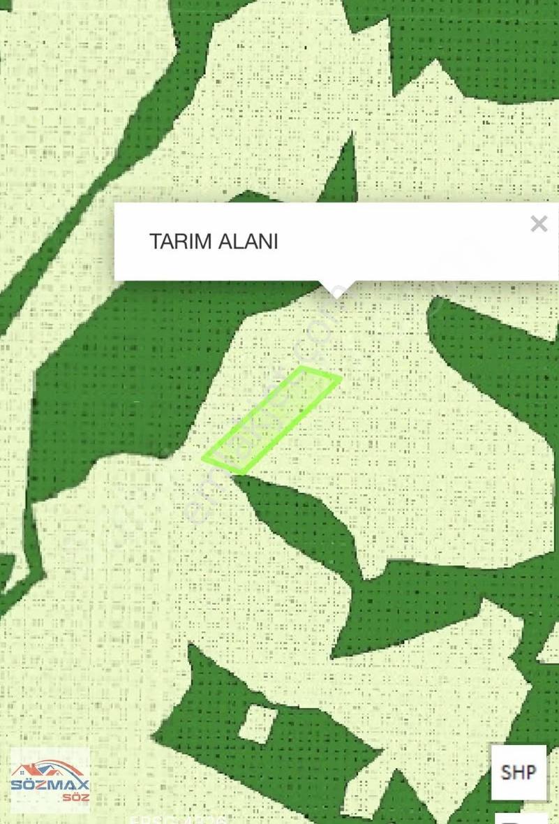 Hacılar Beğendikte Satılık Tek Tapu 5365 M2 Tarla - Görsel 2
