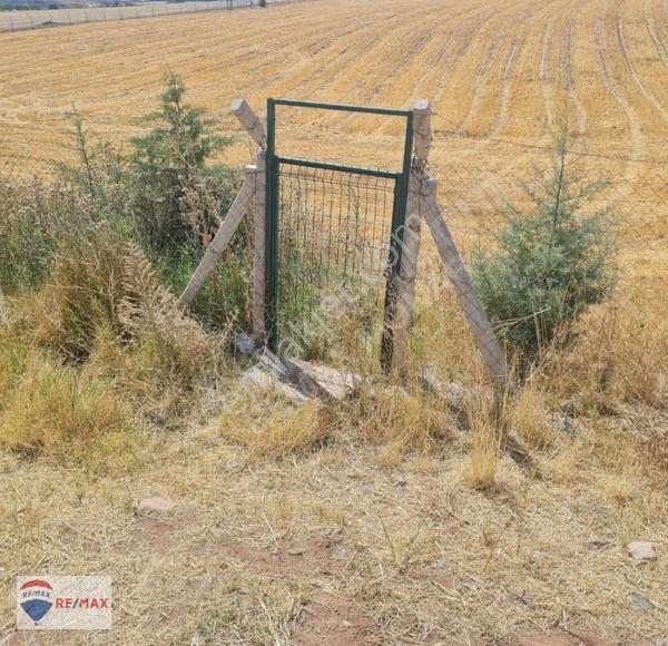 Çankaya Tohumlar Karahasanlıda Etrafı Çevrili,sulama Hatlı Tarla - Görsel 3