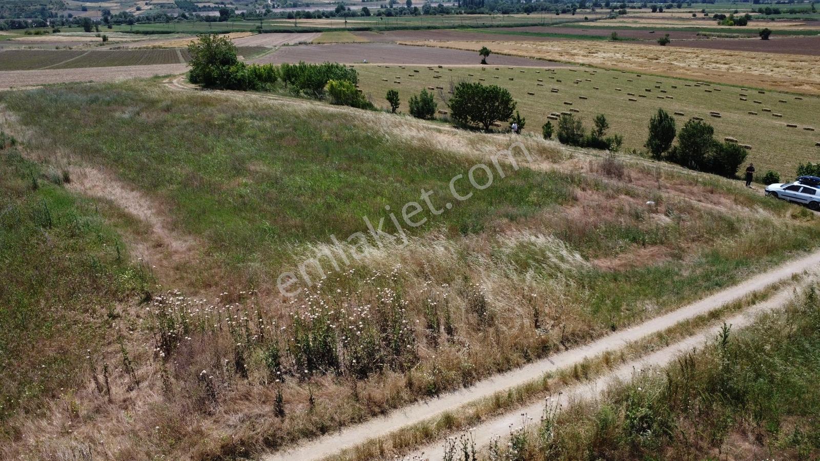 Ebeköy'de 4561m2 İki Adet Yan Yana Satılık Tarla - Görsel 7