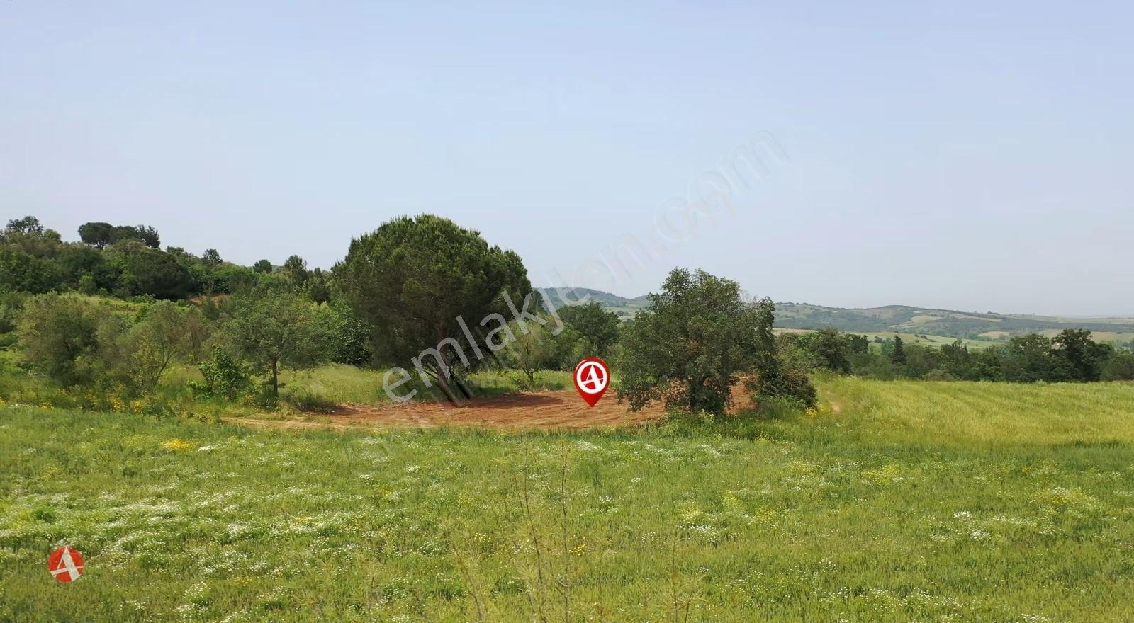 Çanakkale, Biga,çelikgürü, Karayolu Kenarı, 725 M2 Satılık Arazi - Görsel 6