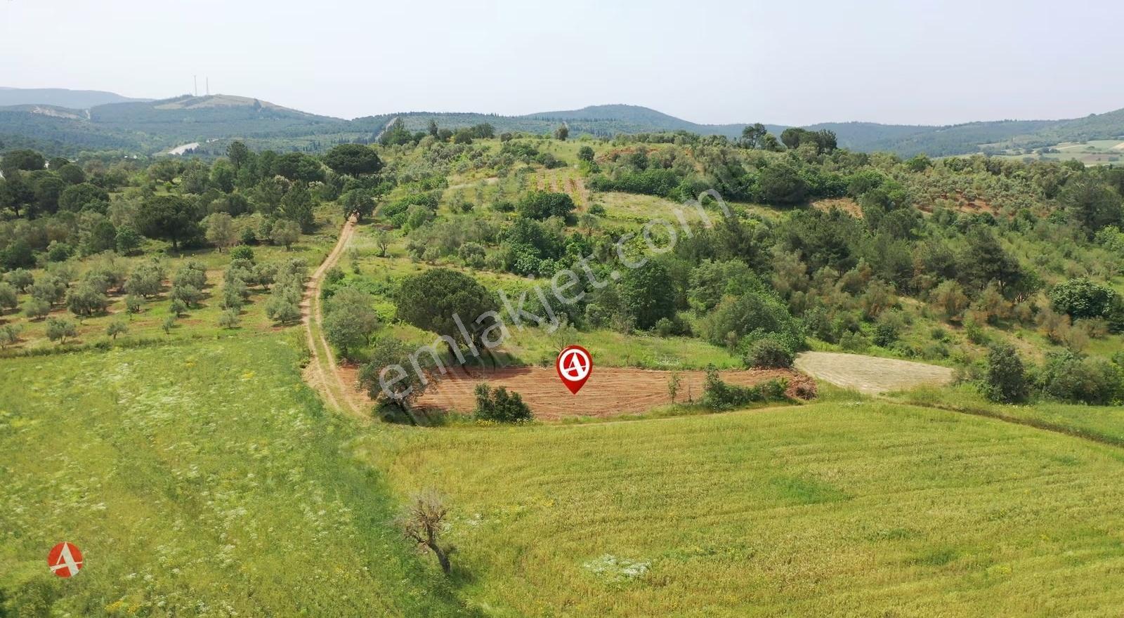 Çanakkale, Biga,çelikgürü, Karayolu Kenarı, 725 M2 Satılık Arazi - Görsel 3