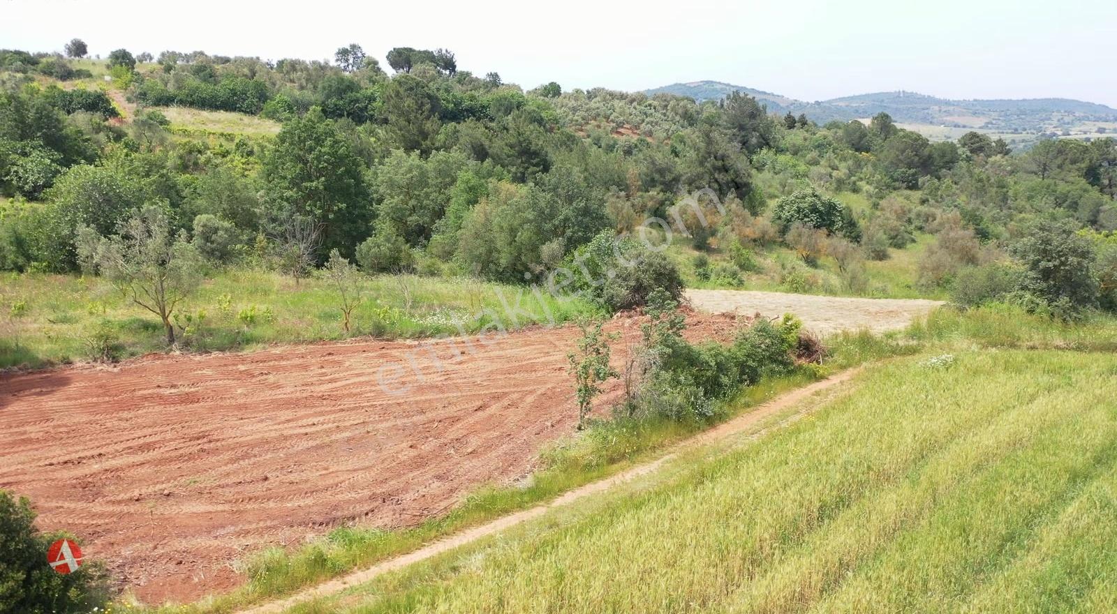 Çanakkale, Biga,çelikgürü, Karayolu Kenarı, 725 M2 Satılık Arazi - Görsel 5