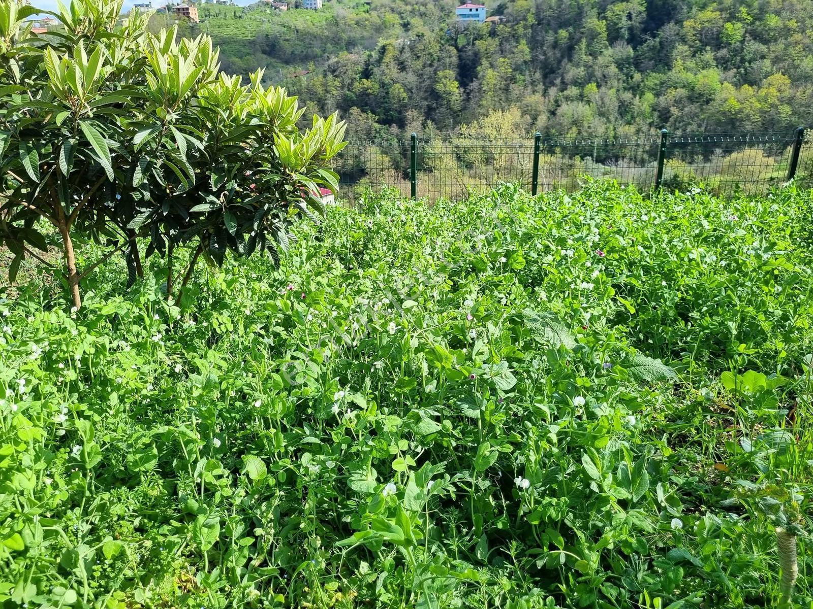 Deha Emlaktan Darıcada Kiralık Villa - Görsel 10