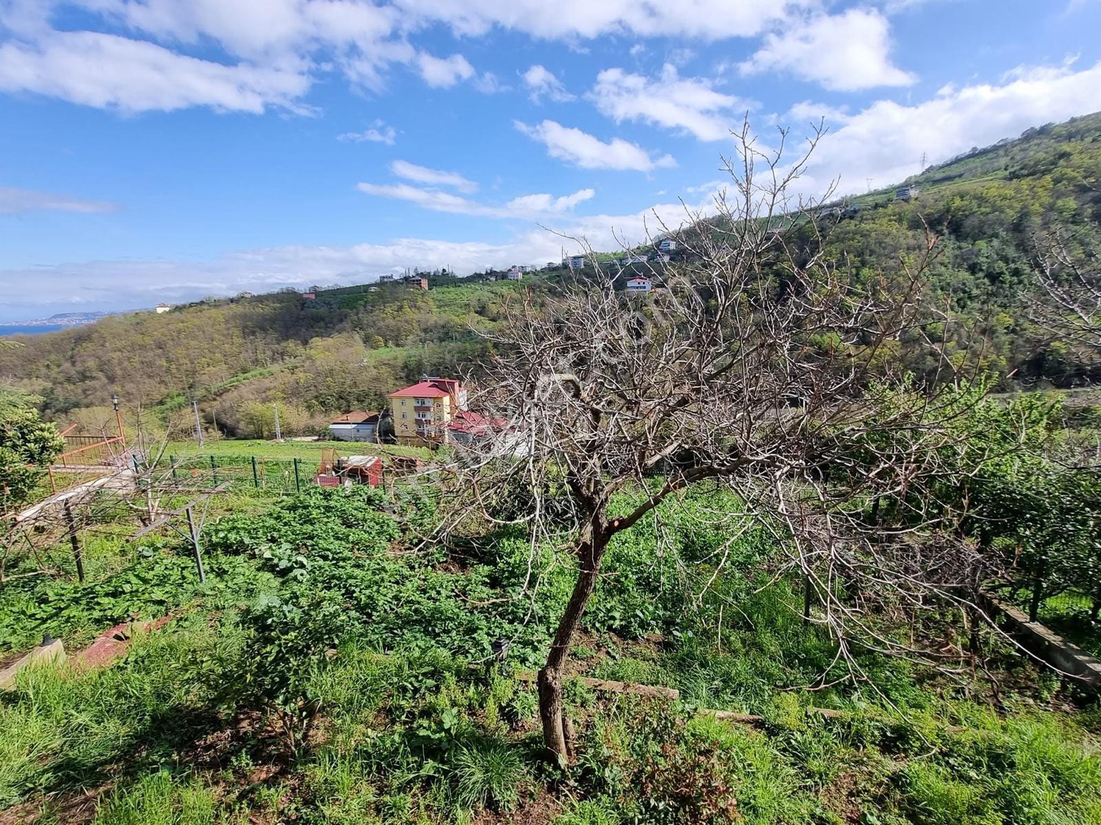 Deha Emlaktan Darıcada Kiralık Villa - Görsel 15