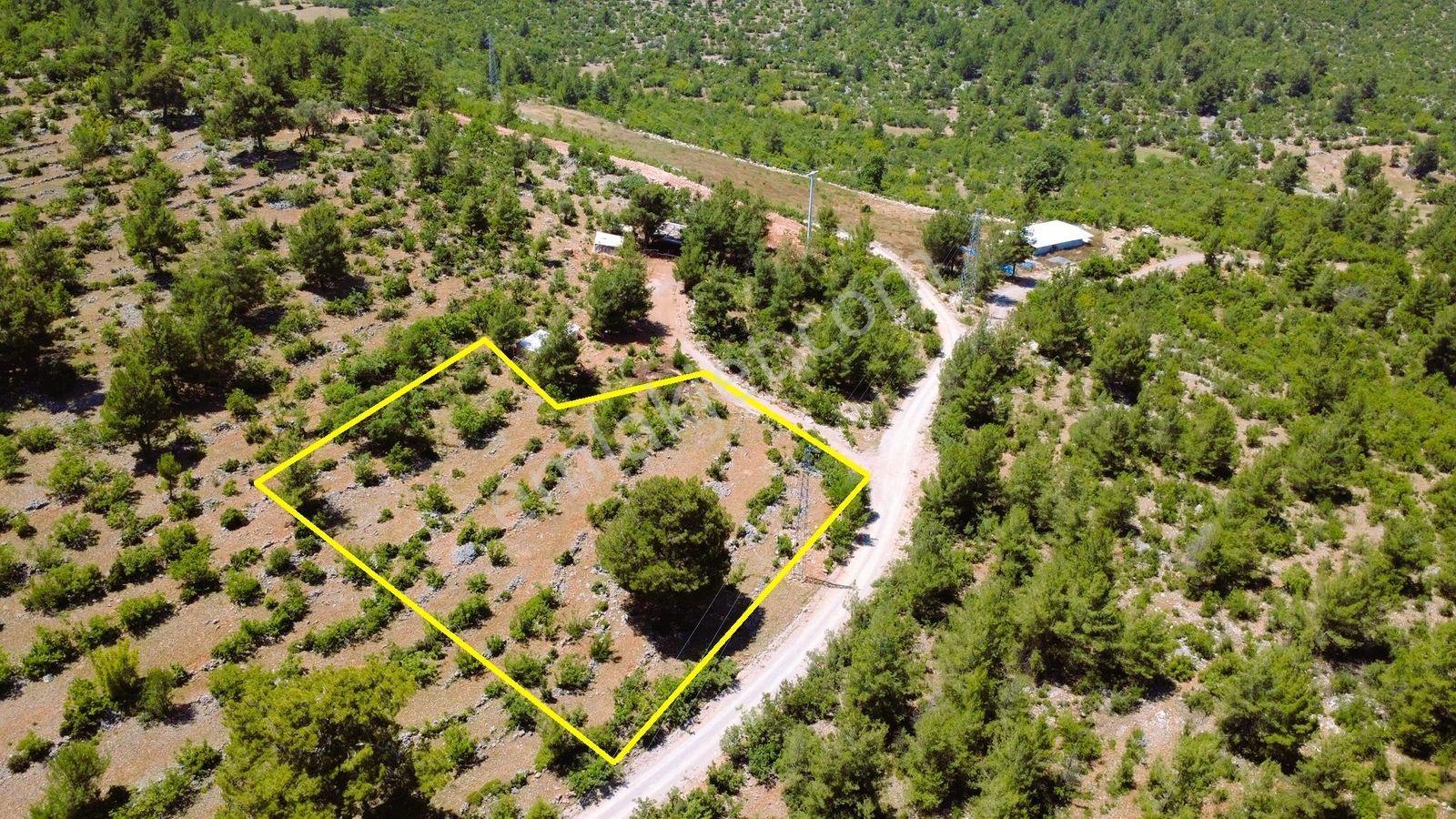 Alanya Karamanlarda Satılık 2.098 M2 Müstakil Tarla - Görsel 27