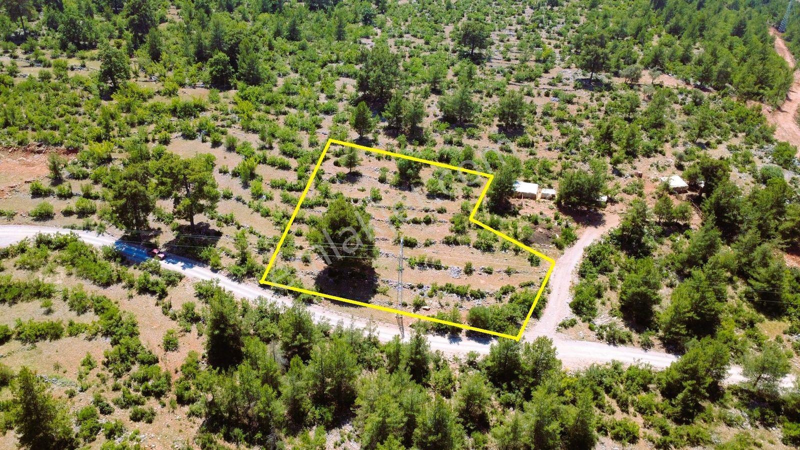 Alanya Karamanlarda Satılık 2.098 M2 Müstakil Tarla - Görsel 8
