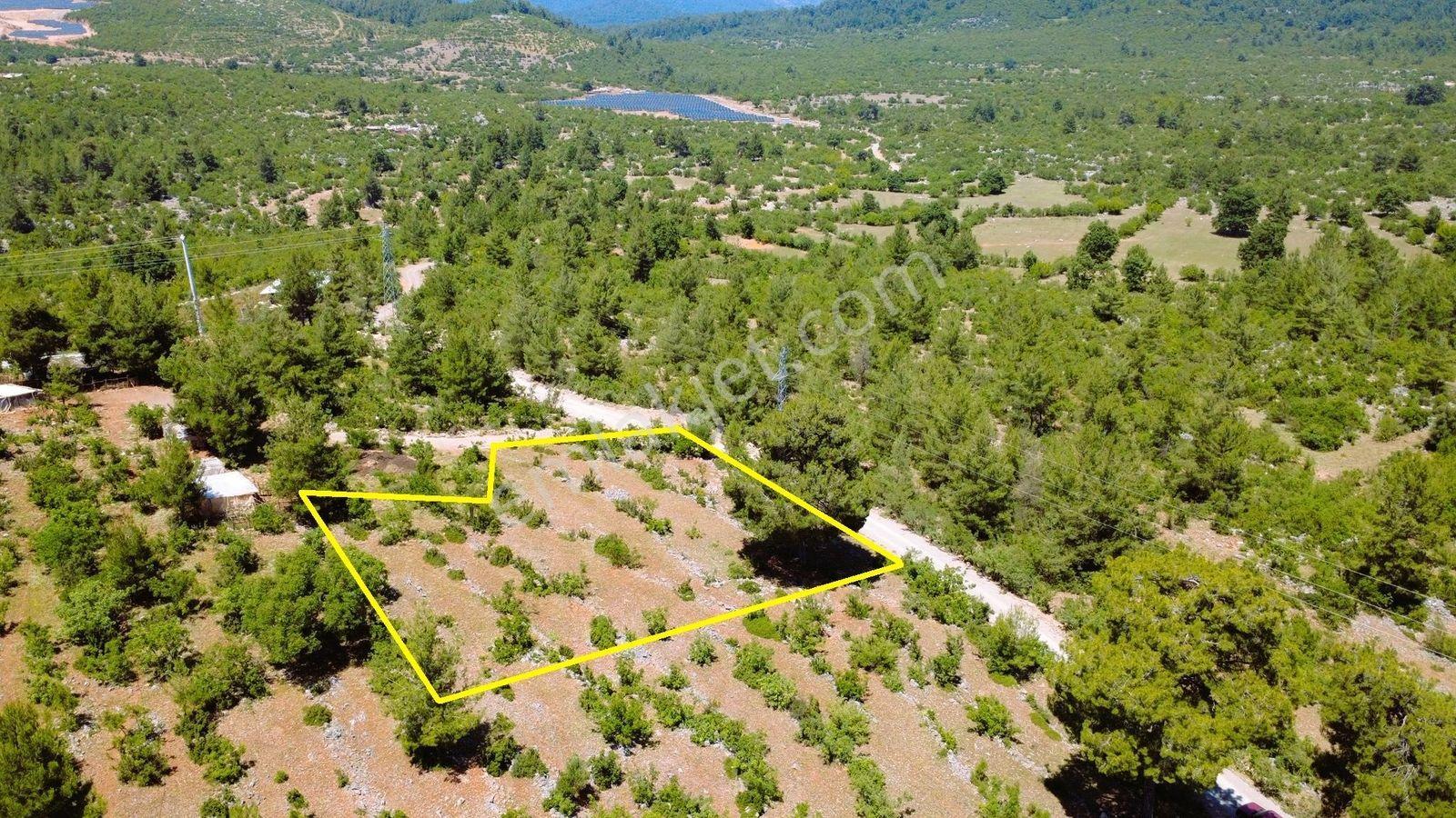 Alanya Karamanlarda Satılık 2.098 M2 Müstakil Tarla - Görsel 18