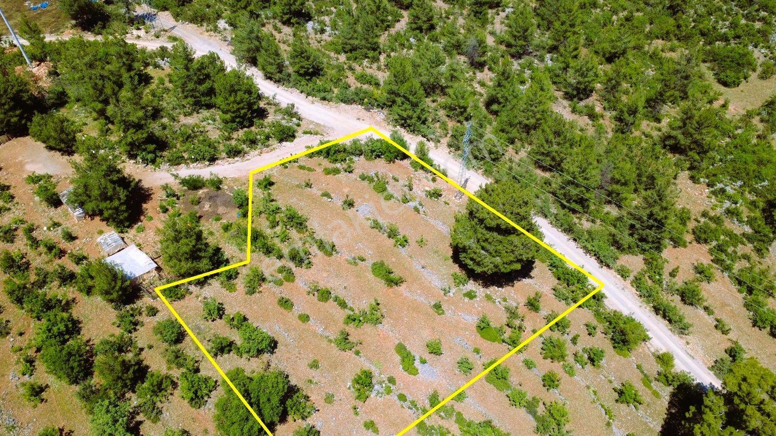 Alanya Karamanlarda Satılık 2.098 M2 Müstakil Tarla - Görsel 12