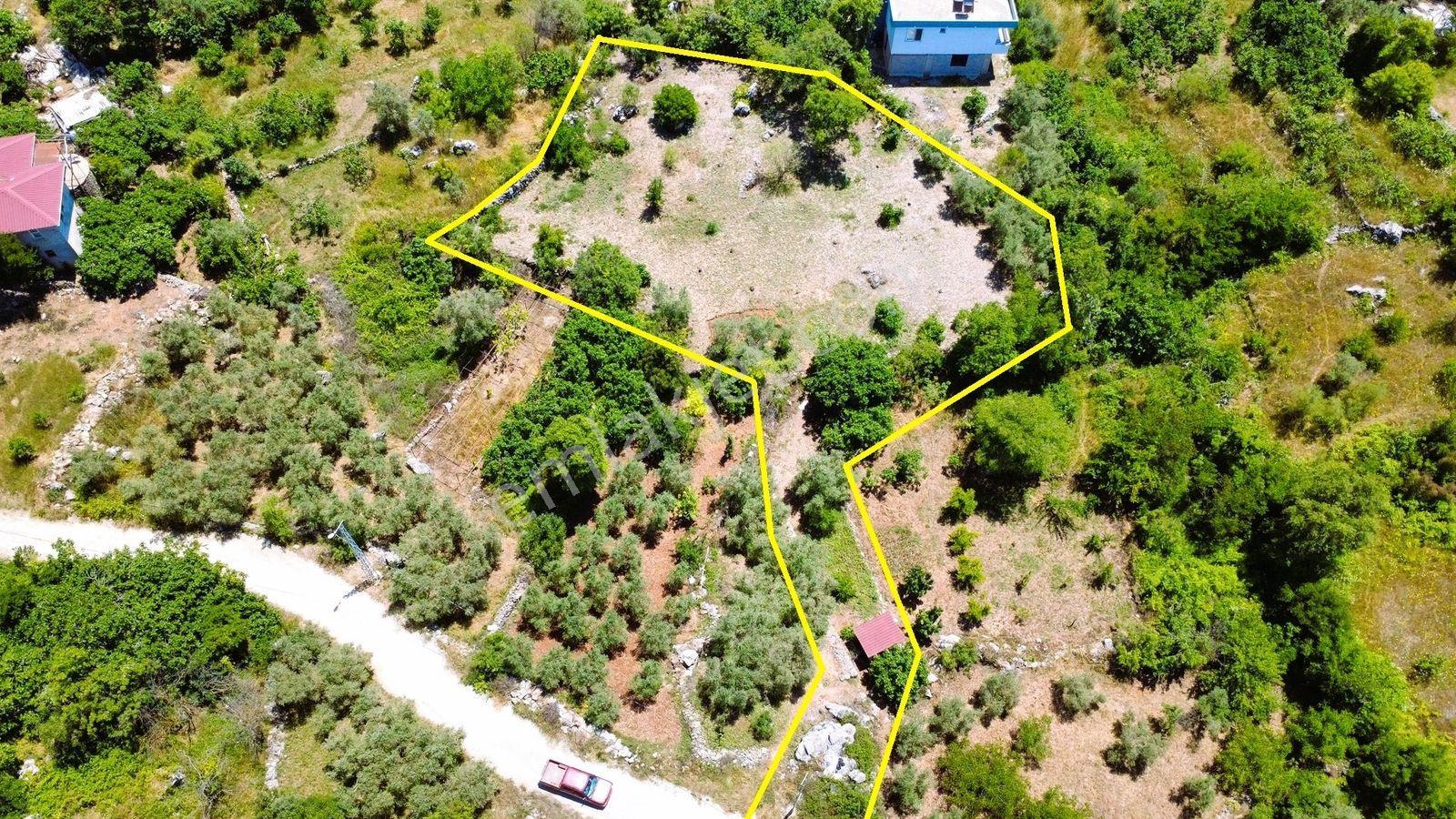 Alanya Karamanlarda Satılık 1.603 M2 Köy İçi Arsa - Görsel 23