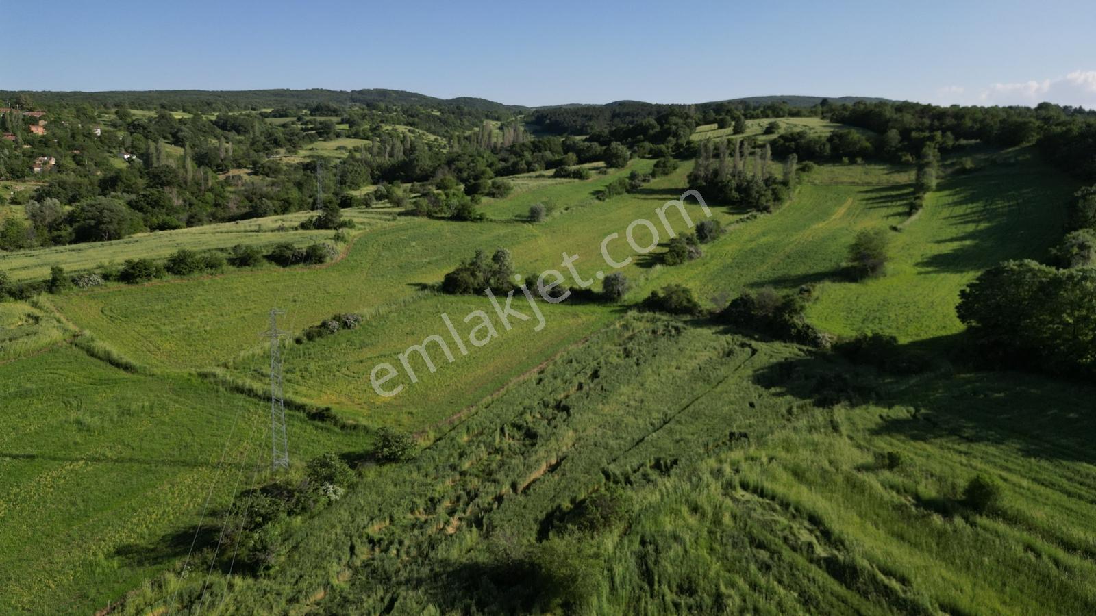 Söğüt Dömez'de Yola 53m Cepheli, Köye Yakın 5.564 M² Düz Tarla - Görsel 3