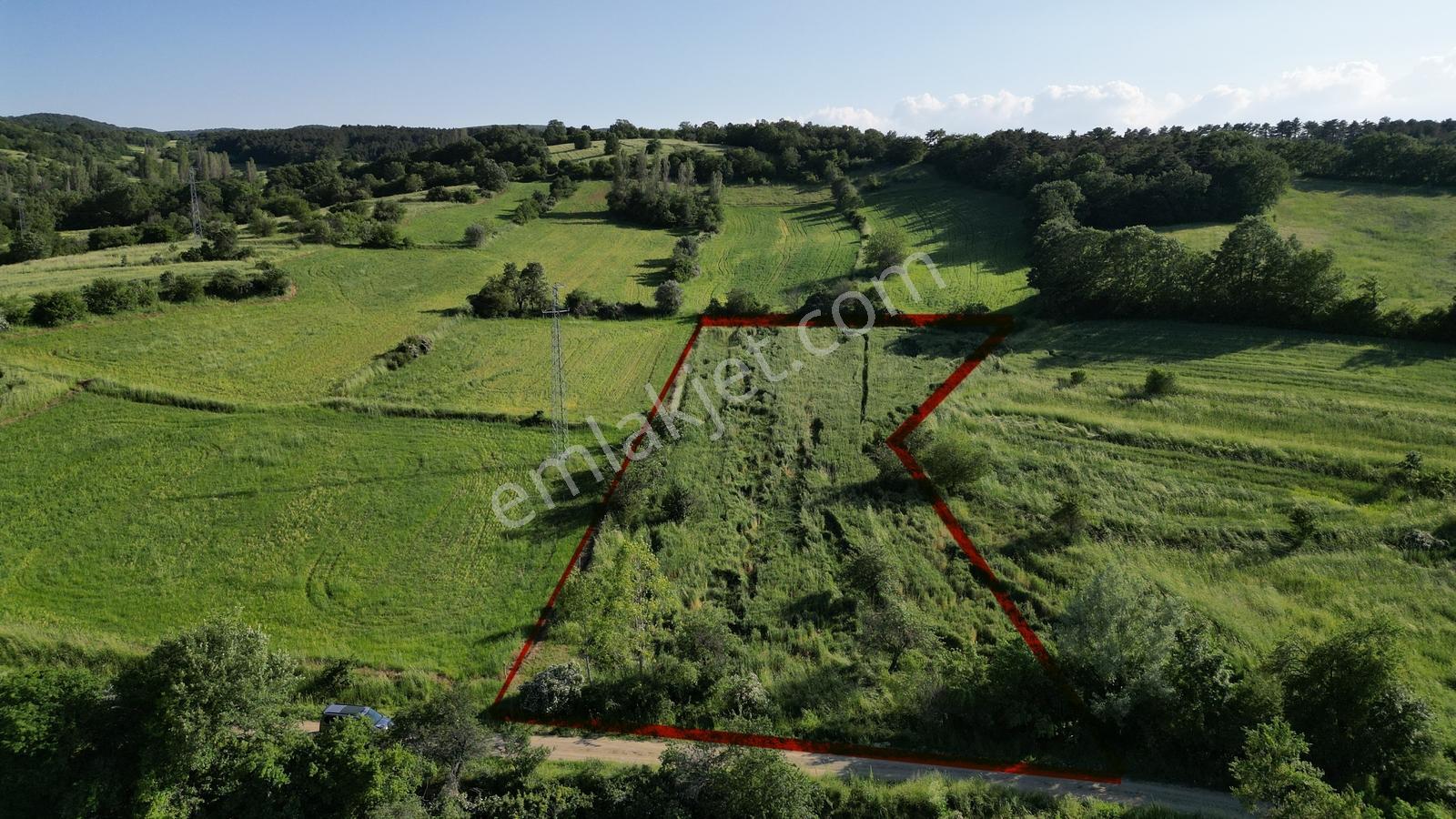 Söğüt Dömez'de Yola 53m Cepheli, Köye Yakın 5.564 M² Düz Tarla
