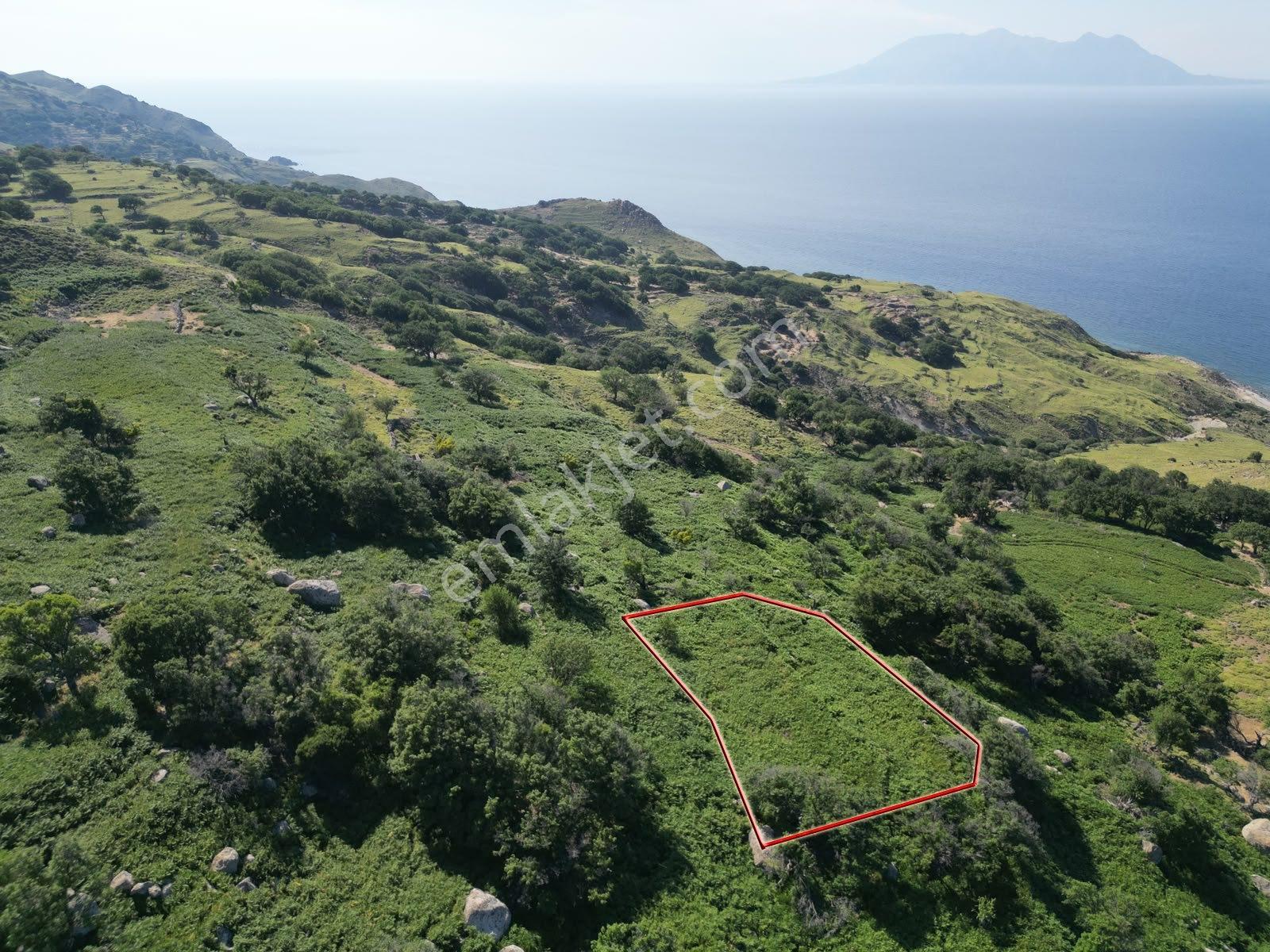 İmroz Emlak'tan Tepeköy Çınaraltı'nda 1.078 M2 Tarla - Görsel 19