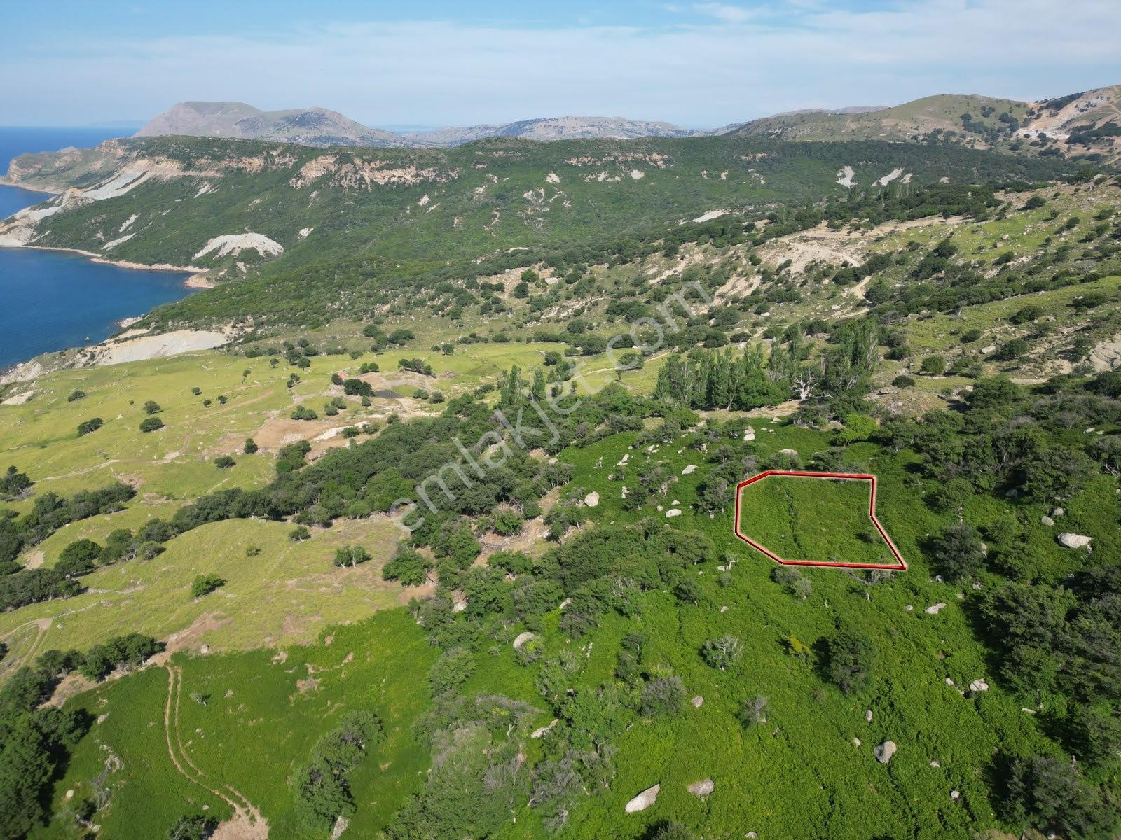 İmroz Emlak'tan Tepeköy Çınaraltı'nda 1.078 M2 Tarla - Görsel 8