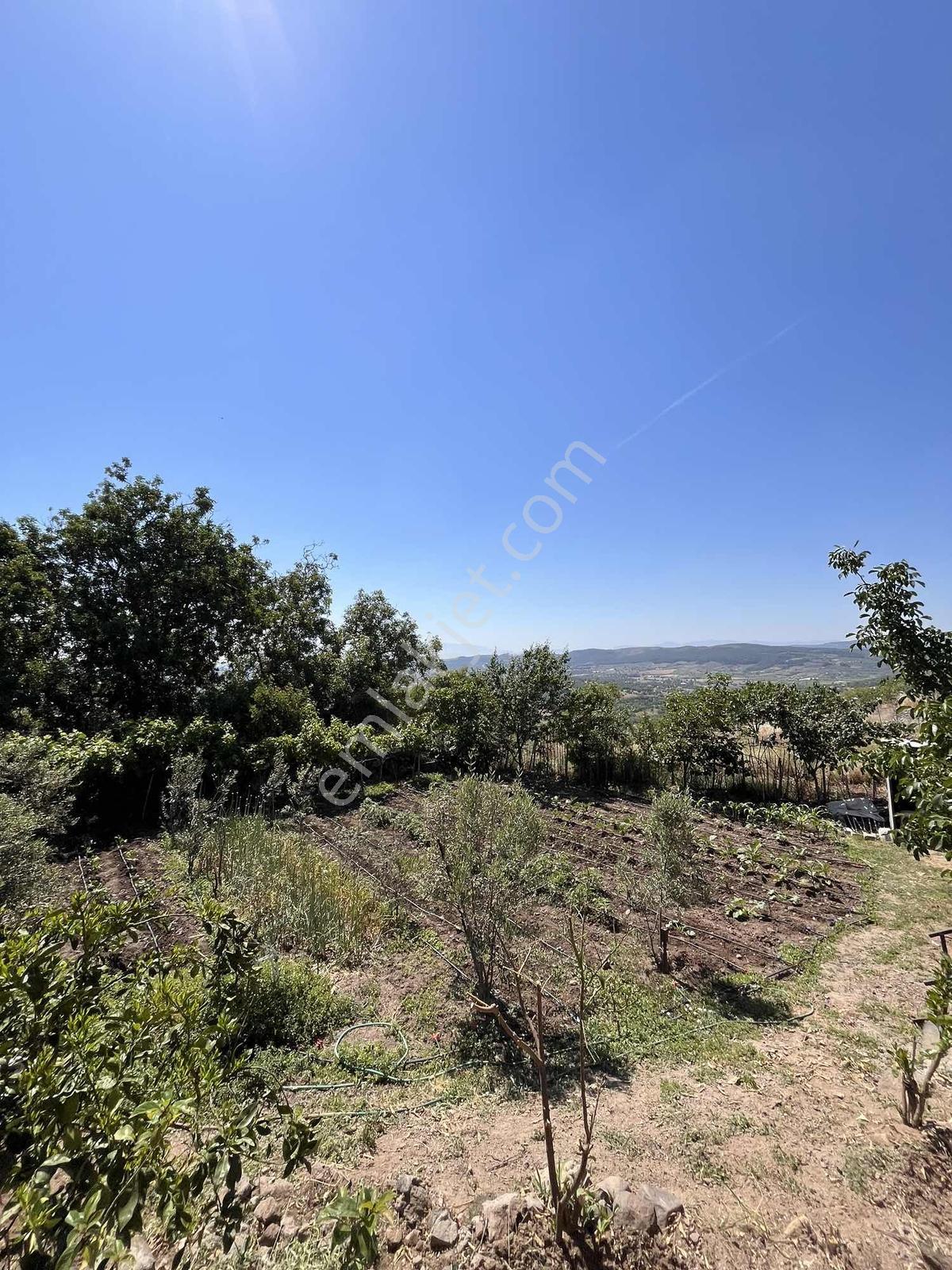 Manisa Dazyurt Mah Eşsiz Manzaralı Acil Satılık Bahçeli Ev - Görsel 20