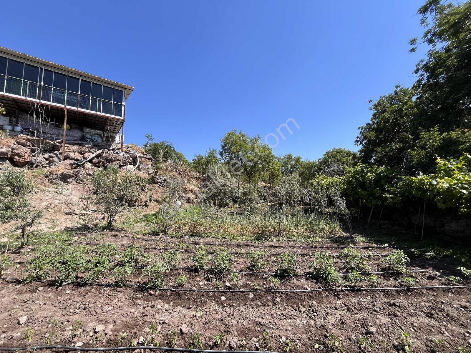 Manisa Dazyurt Mah Eşsiz Manzaralı Acil Satılık Bahçeli Ev - Görsel 11