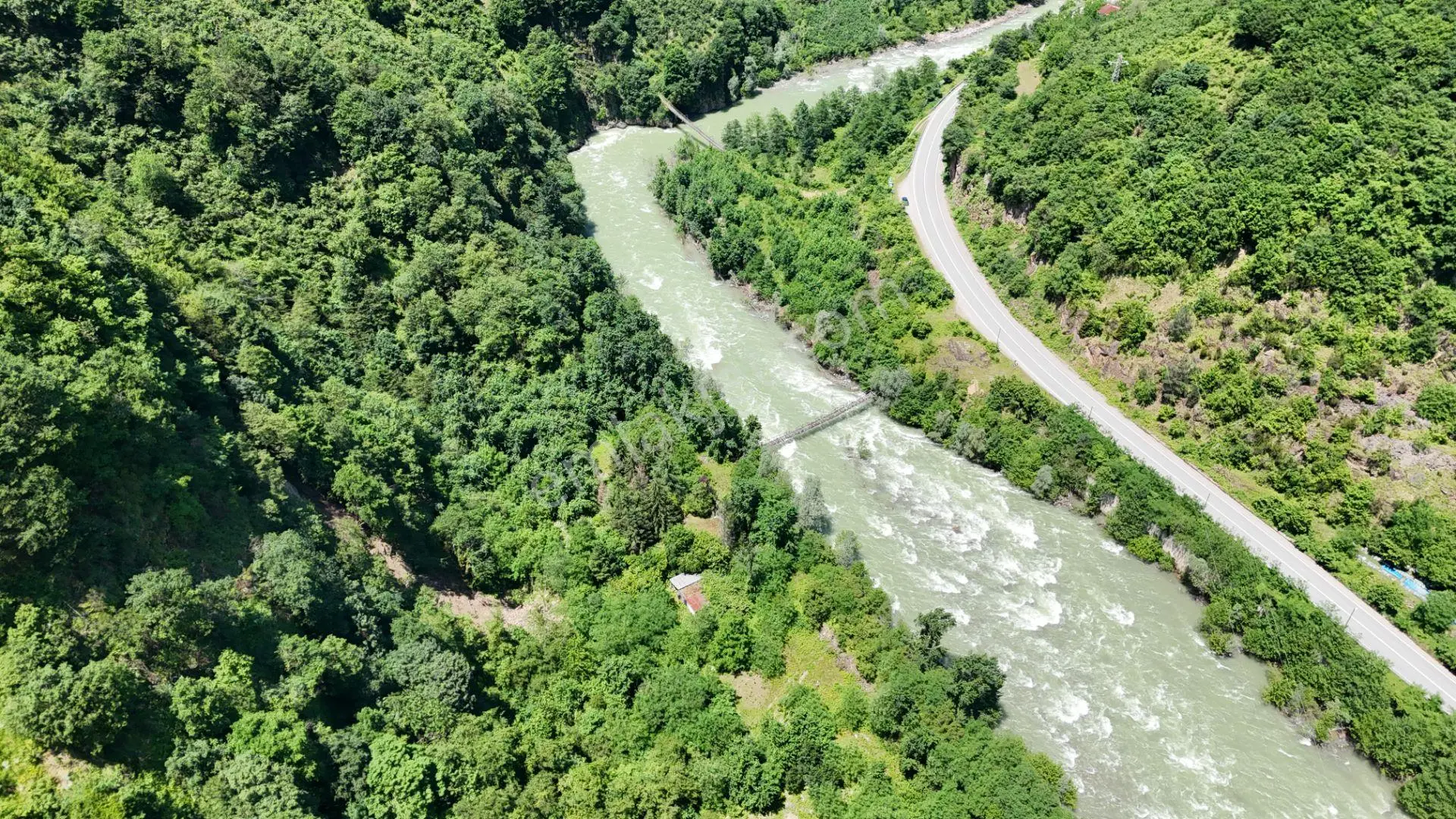 Altın Emlak Giresun'dan Doğankent'te 12 Dönüm Satılık Fındık Bahçesi & Balık Tesisi - Görsel 5