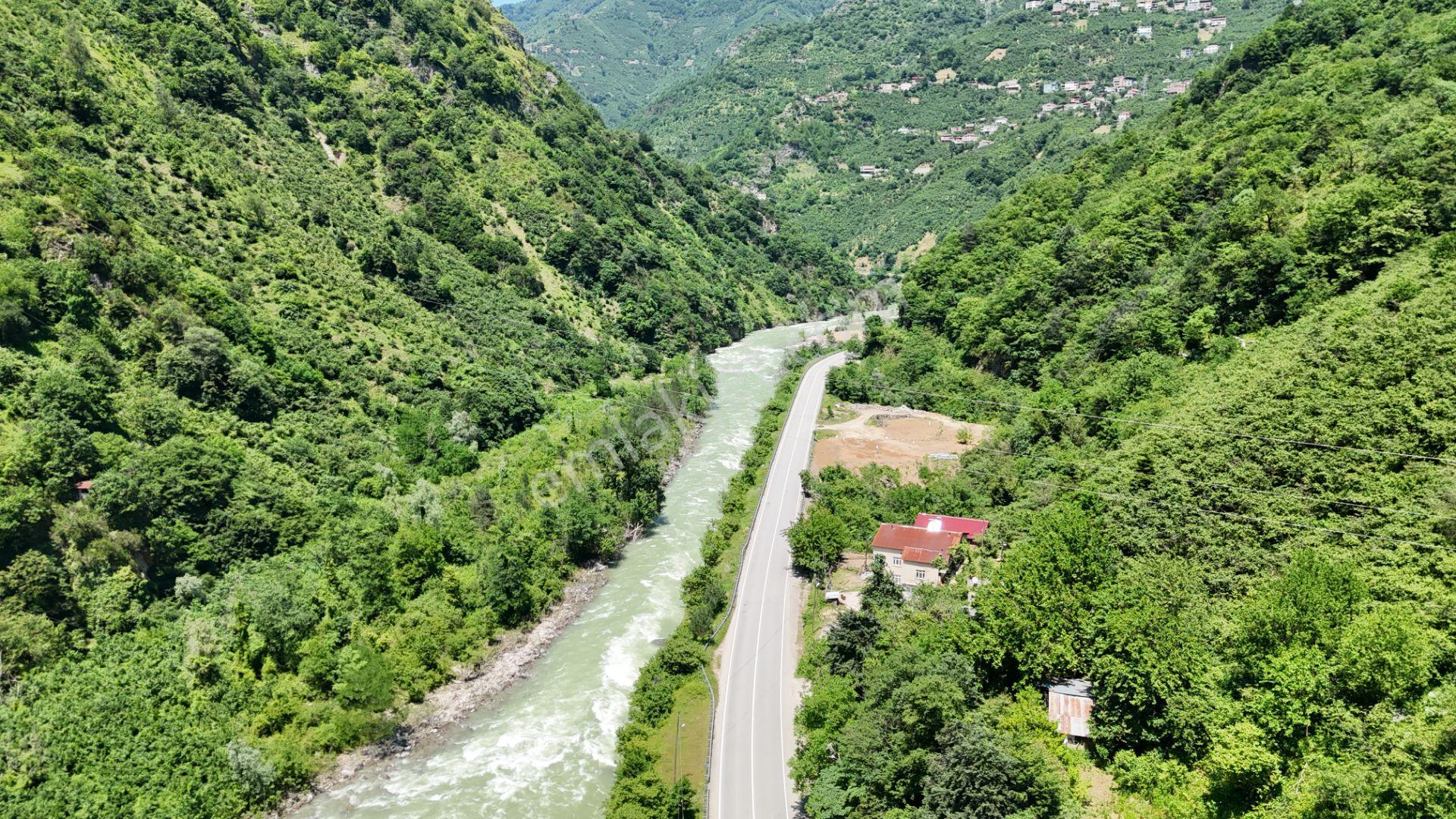 Altın Emlak Giresun'dan Doğankent'te 12 Dönüm Satılık Fındık Bahçesi & Balık Tesisi - Görsel 10