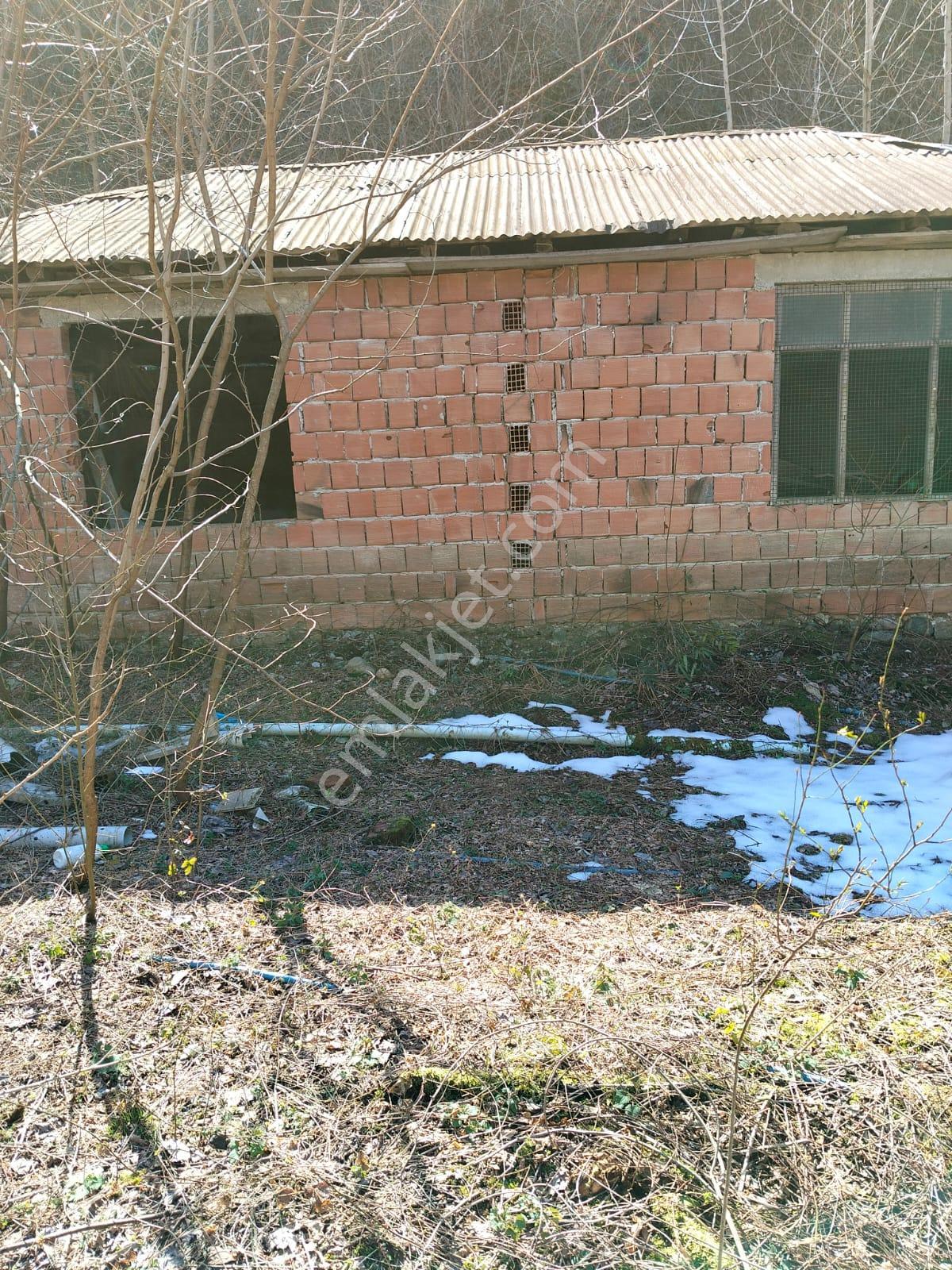 Altın Emlak Giresun'dan Doğankent'te 12 Dönüm Satılık Fındık Bahçesi & Balık Tesisi - Görsel 22
