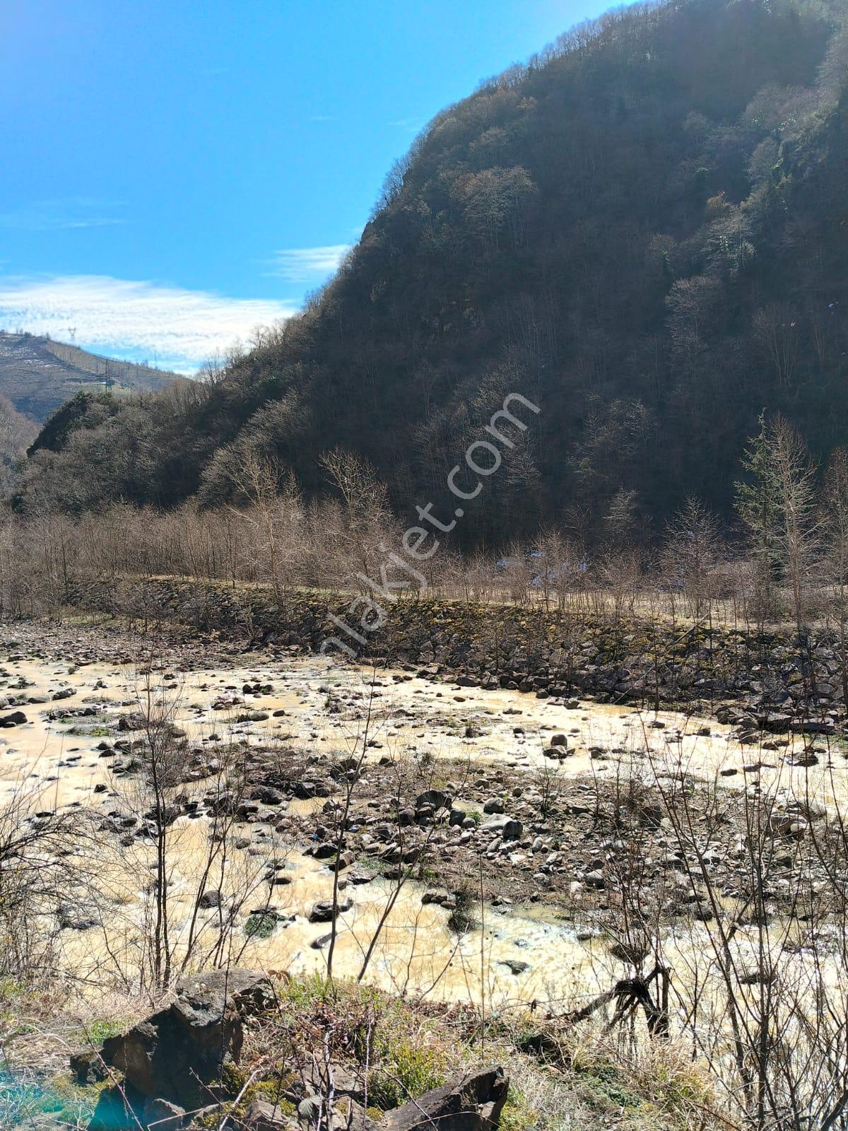 Altın Emlak Giresun'dan Doğankent'te 12 Dönüm Satılık Fındık Bahçesi & Balık Tesisi - Görsel 26