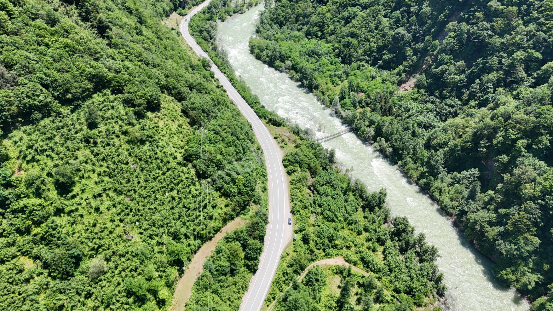 Altın Emlak Giresun'dan Doğankent'te 12 Dönüm Satılık Fındık Bahçesi & Balık Tesisi - Görsel 8