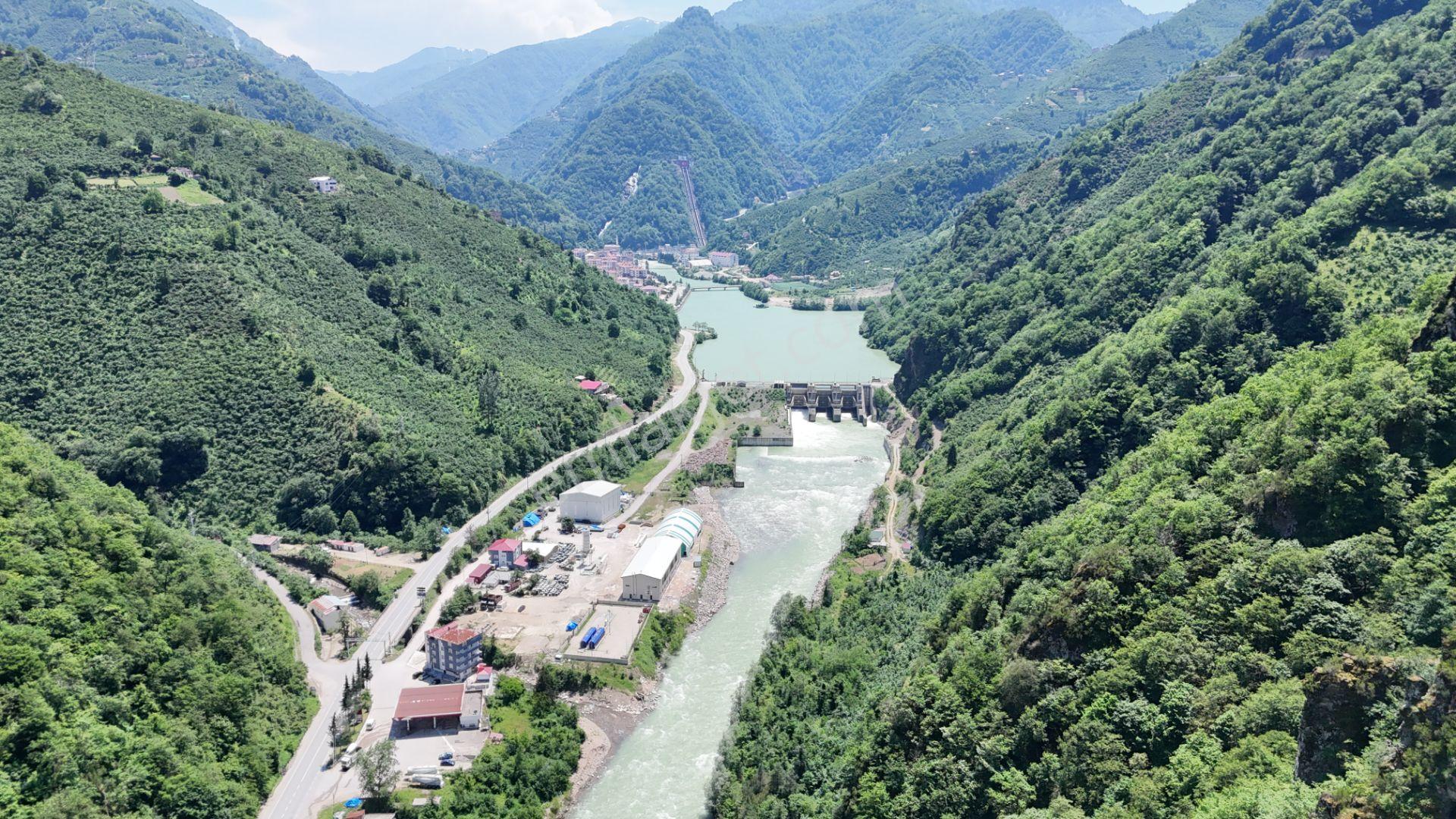 Altın Emlak Giresun'dan Doğankent'te 12 Dönüm Satılık Fındık Bahçesi & Balık Tesisi - Görsel 11