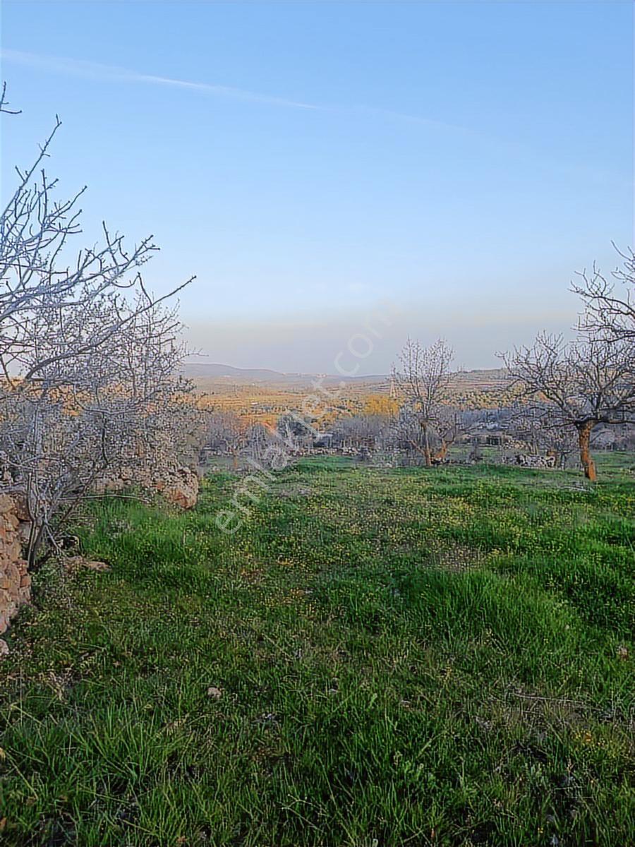 Küçükbelen Mah. 16.800 M2 Tarla - Görsel 15