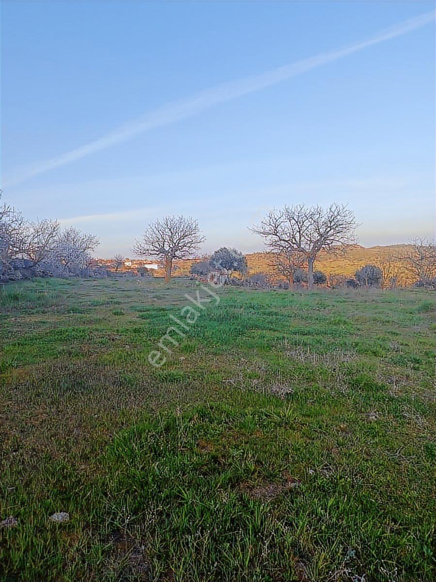 Küçükbelen Mah. 16.800 M2 Tarla - Görsel 4
