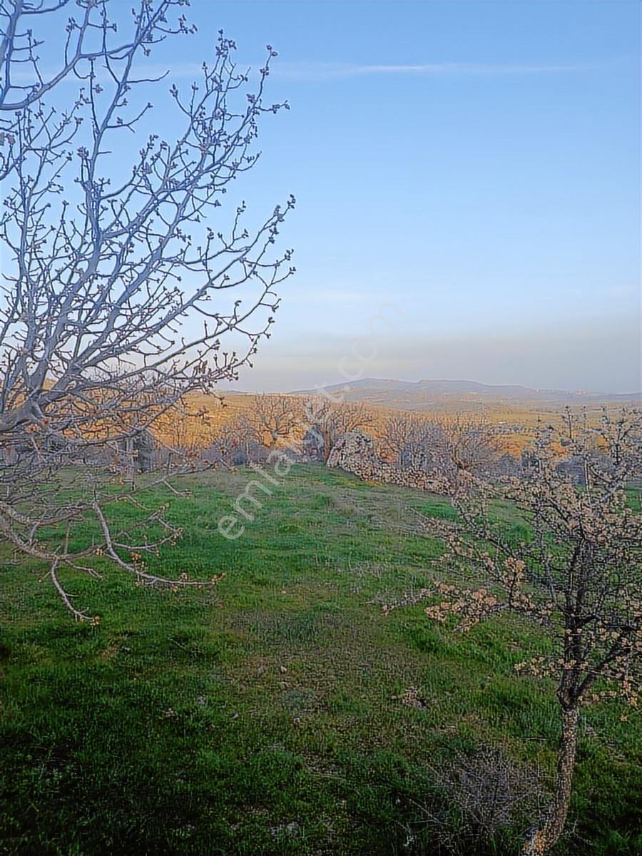 Küçükbelen Mah. 16.800 M2 Tarla - Görsel 19