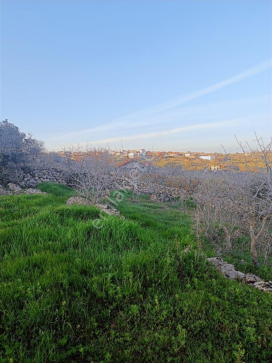 Küçükbelen Mah. 16.800 M2 Tarla - Görsel 14