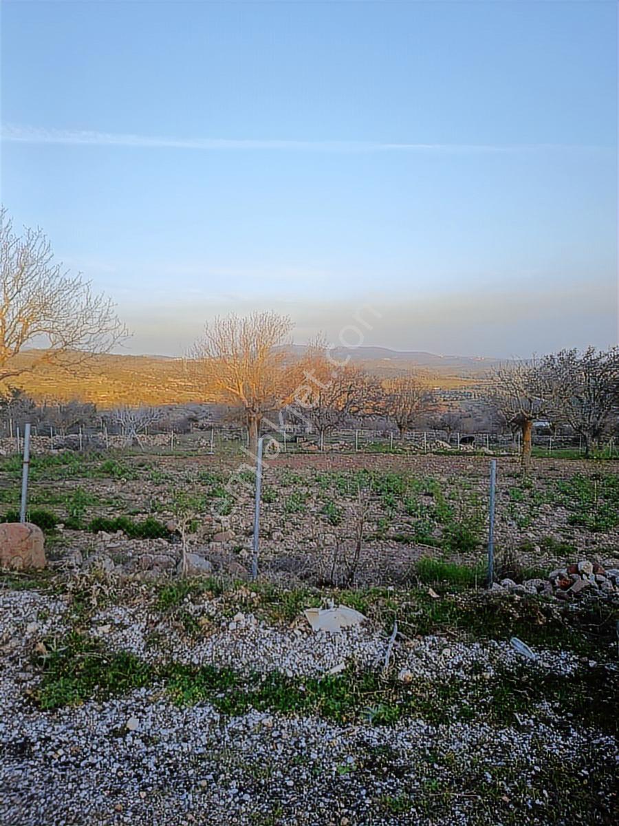 Küçükbelen Mah. 16.800 M2 Tarla - Görsel 24