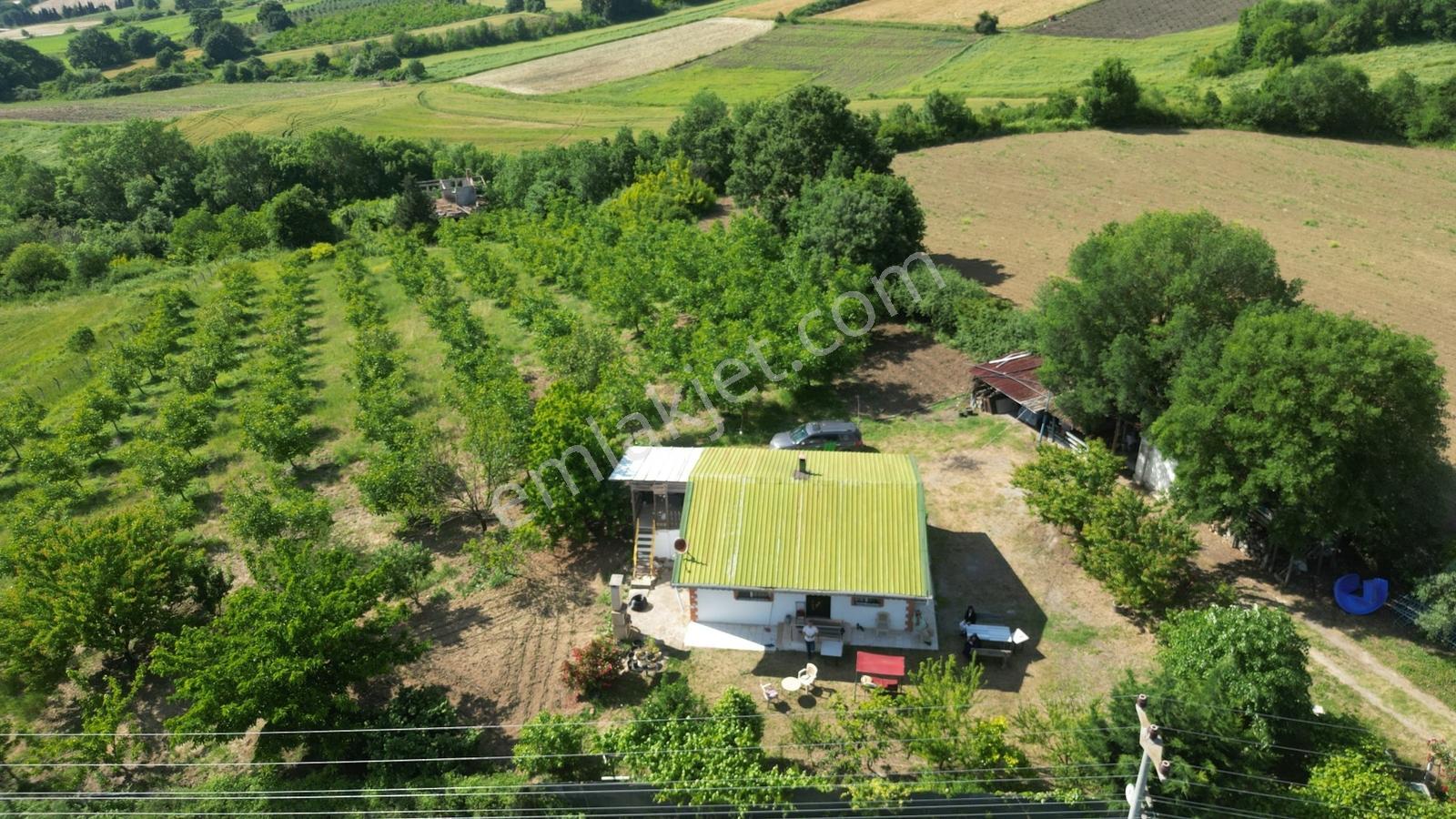 Karamürsel Yalakdere'de 7470m² Arazi+iskanlı Müstakil Ev - Görsel 23