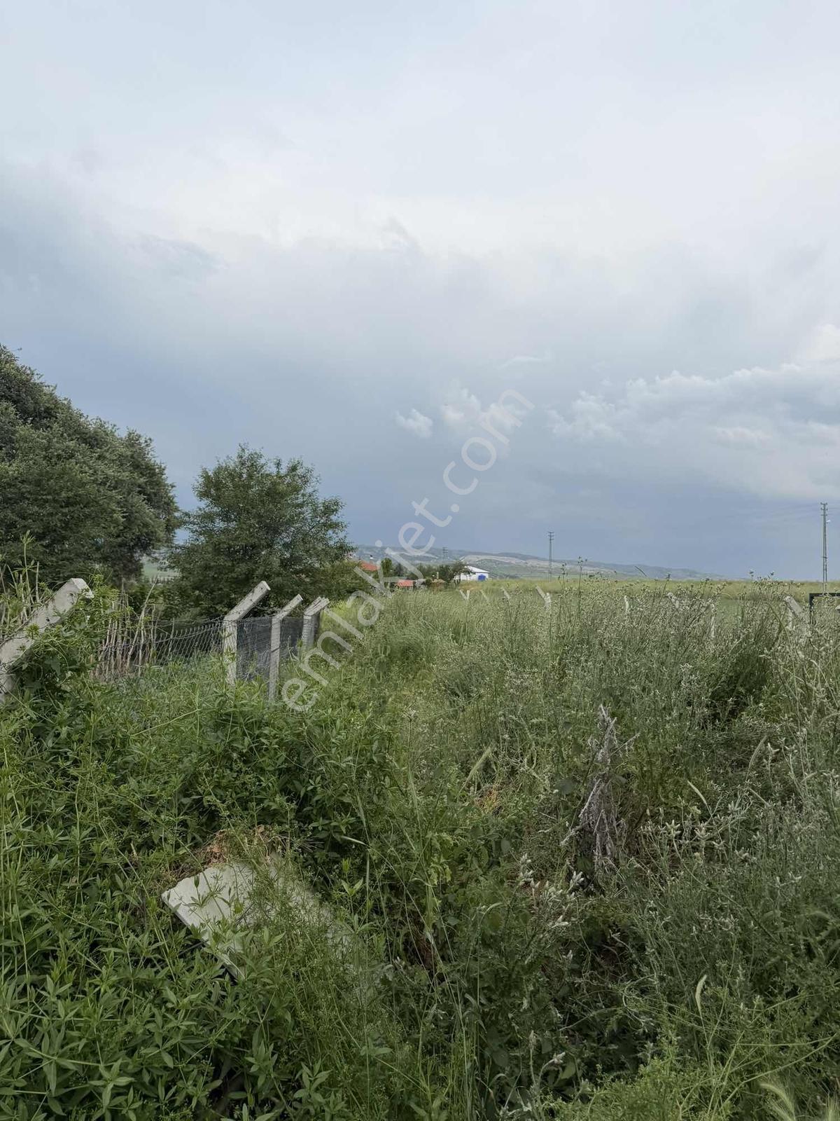 Karalar Mah. 980 M2 Bahçelik Yolu Mevcut Parsel - Görsel 17